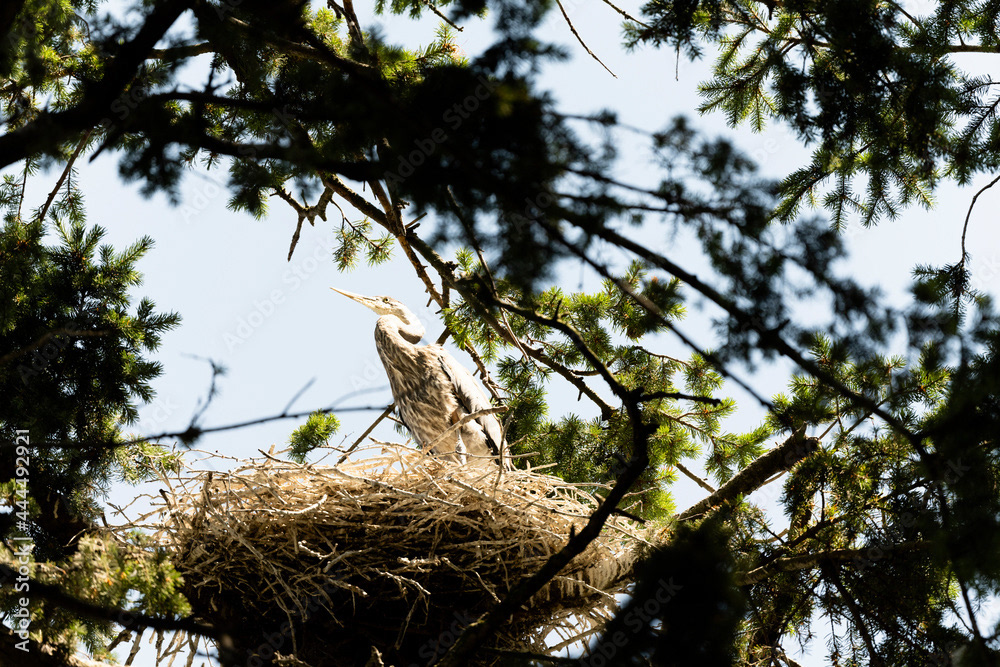 Photo by Lea Tyrrell | Available via Adobe Stock Images