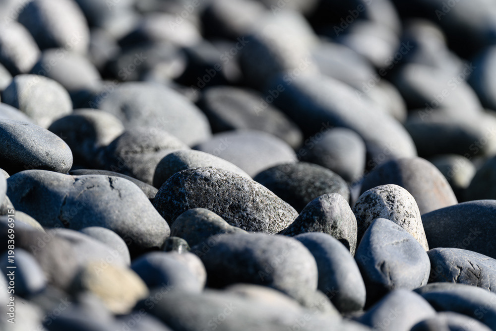Photo by Lea Tyrrell | Available via Adobe Stock Images