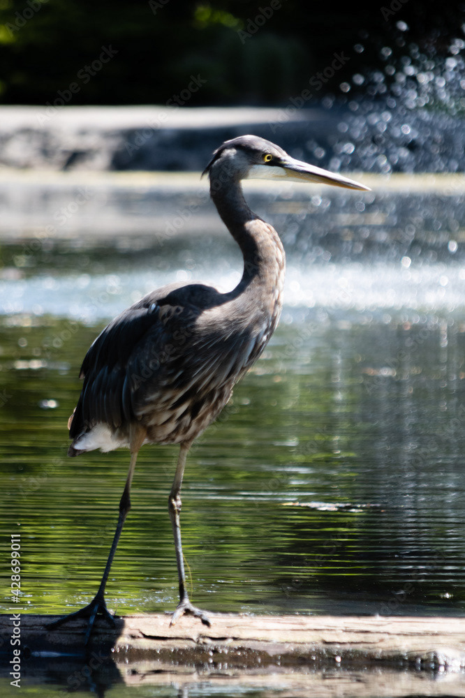 Photo by Lea Tyrrell | Available via Adobe Stock Images