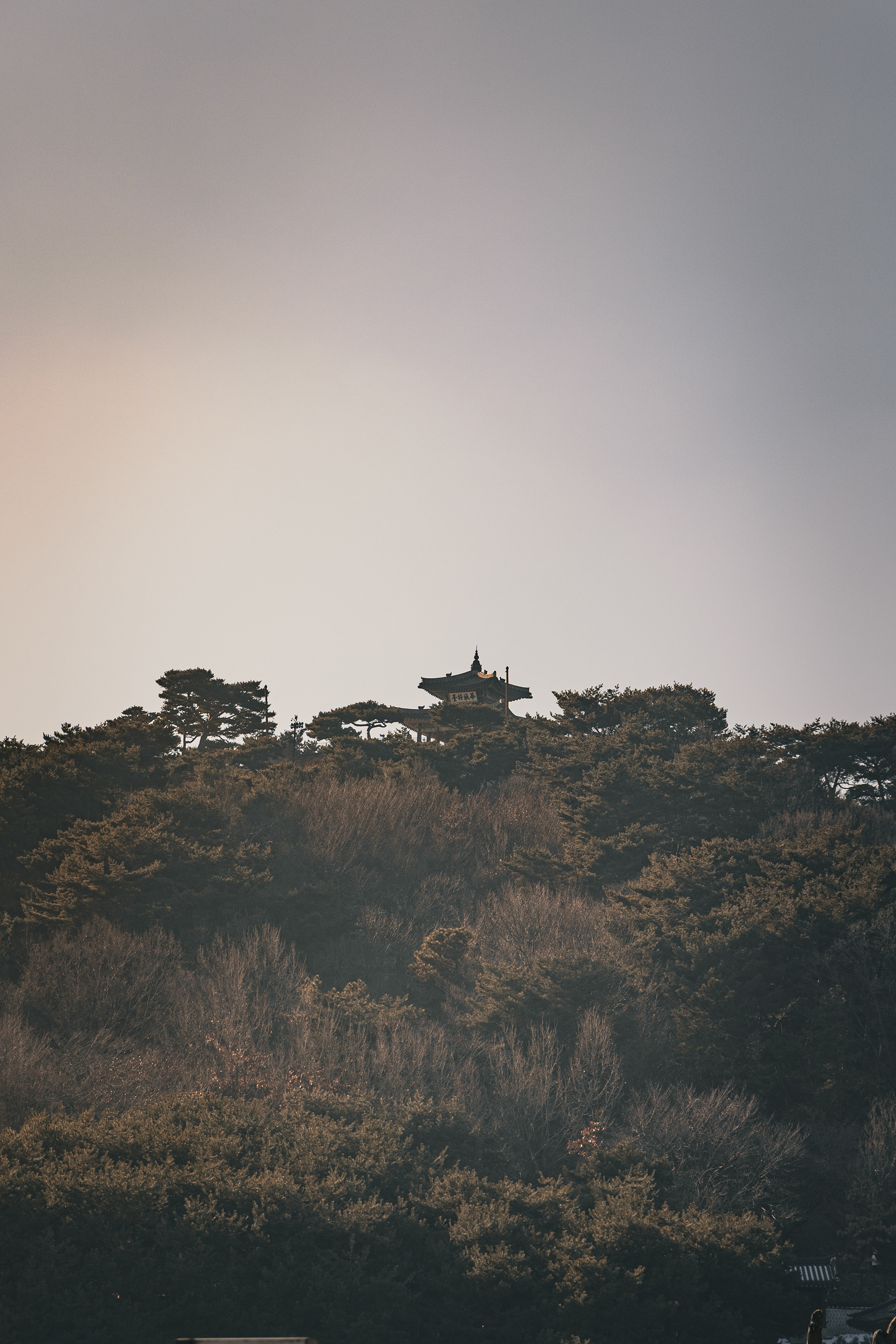 서장대