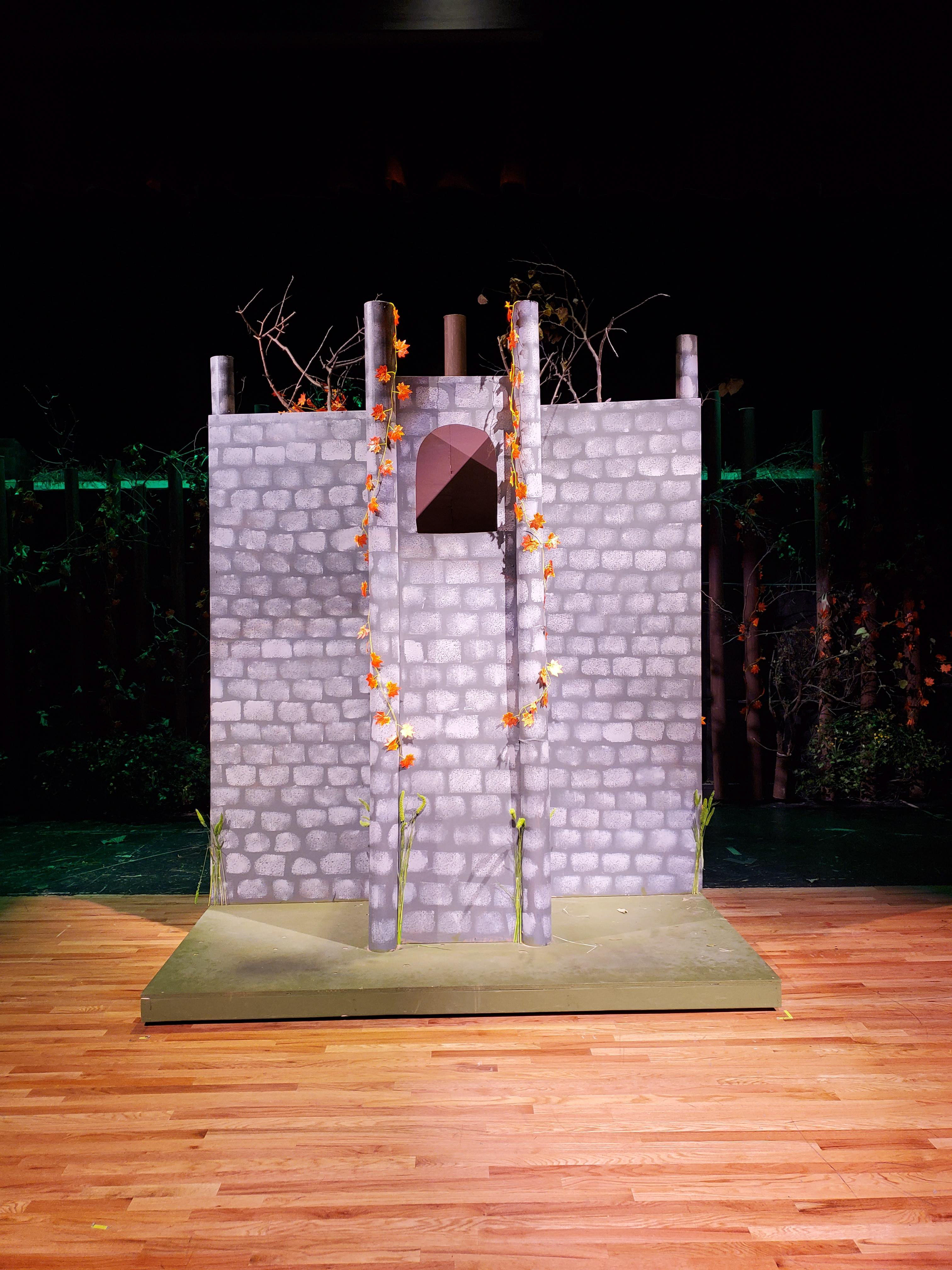 Rapunzel's Tower
