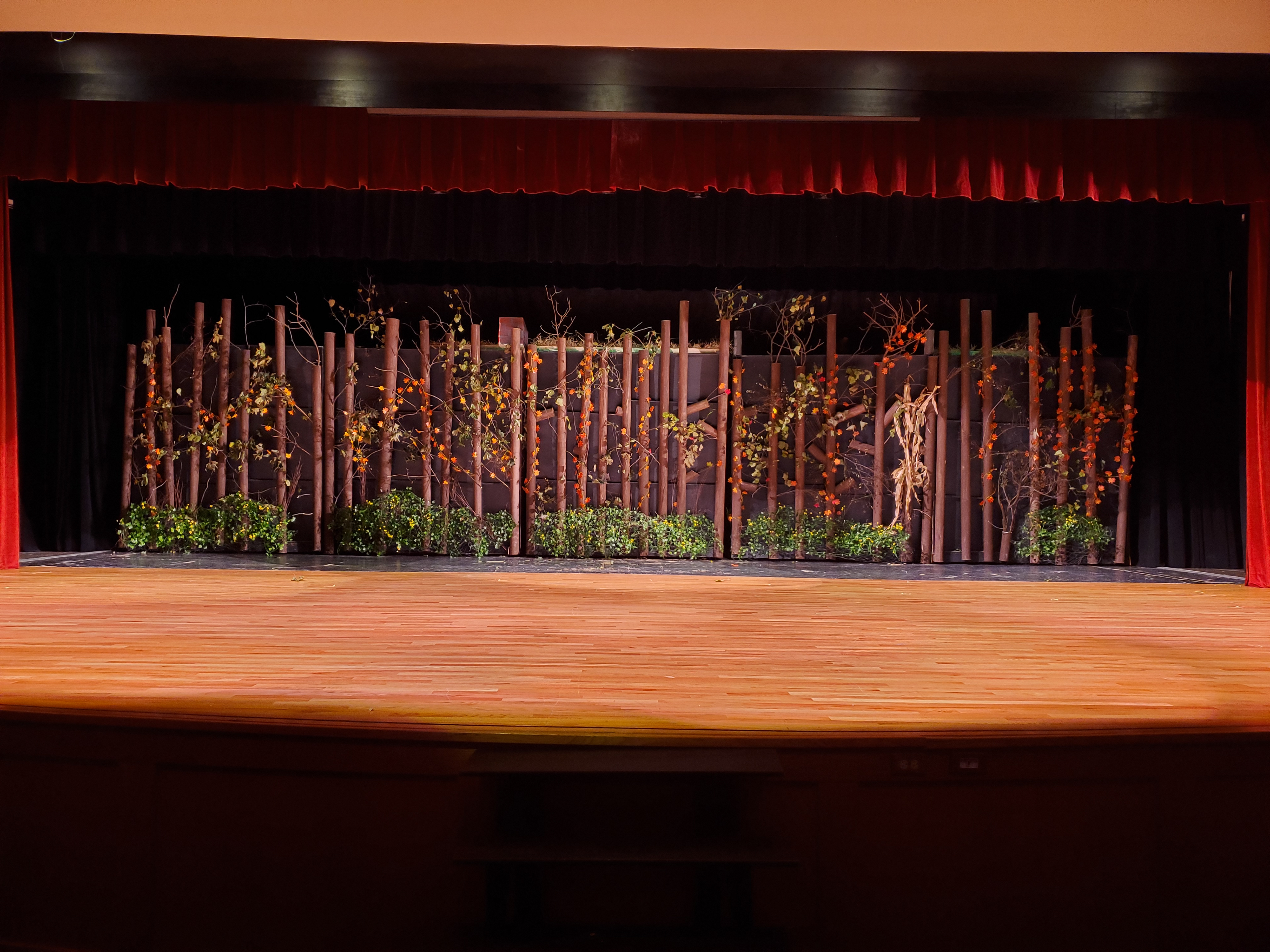 5 platforms come together to form a forest backdrop