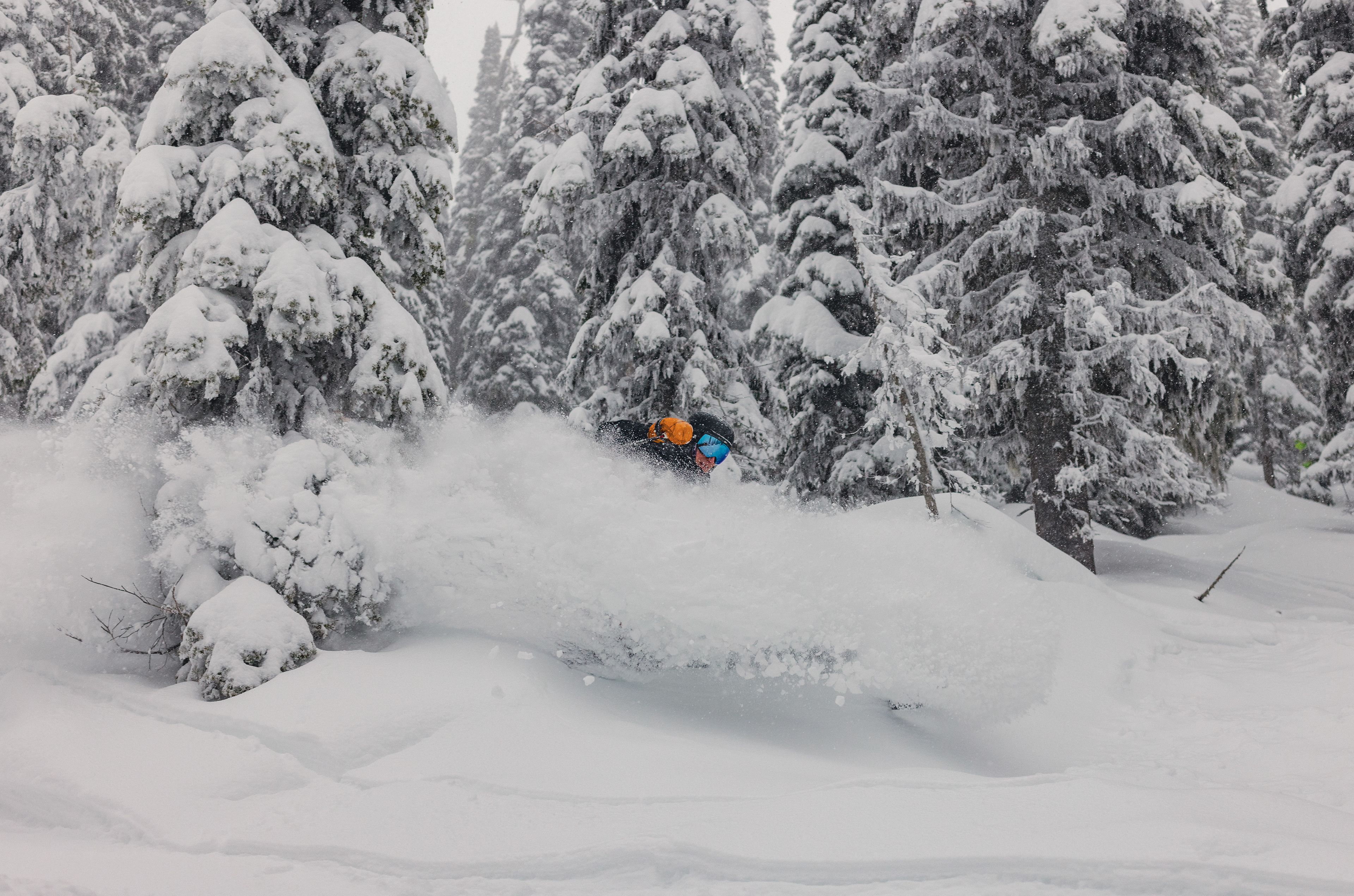 Whitefish, MT