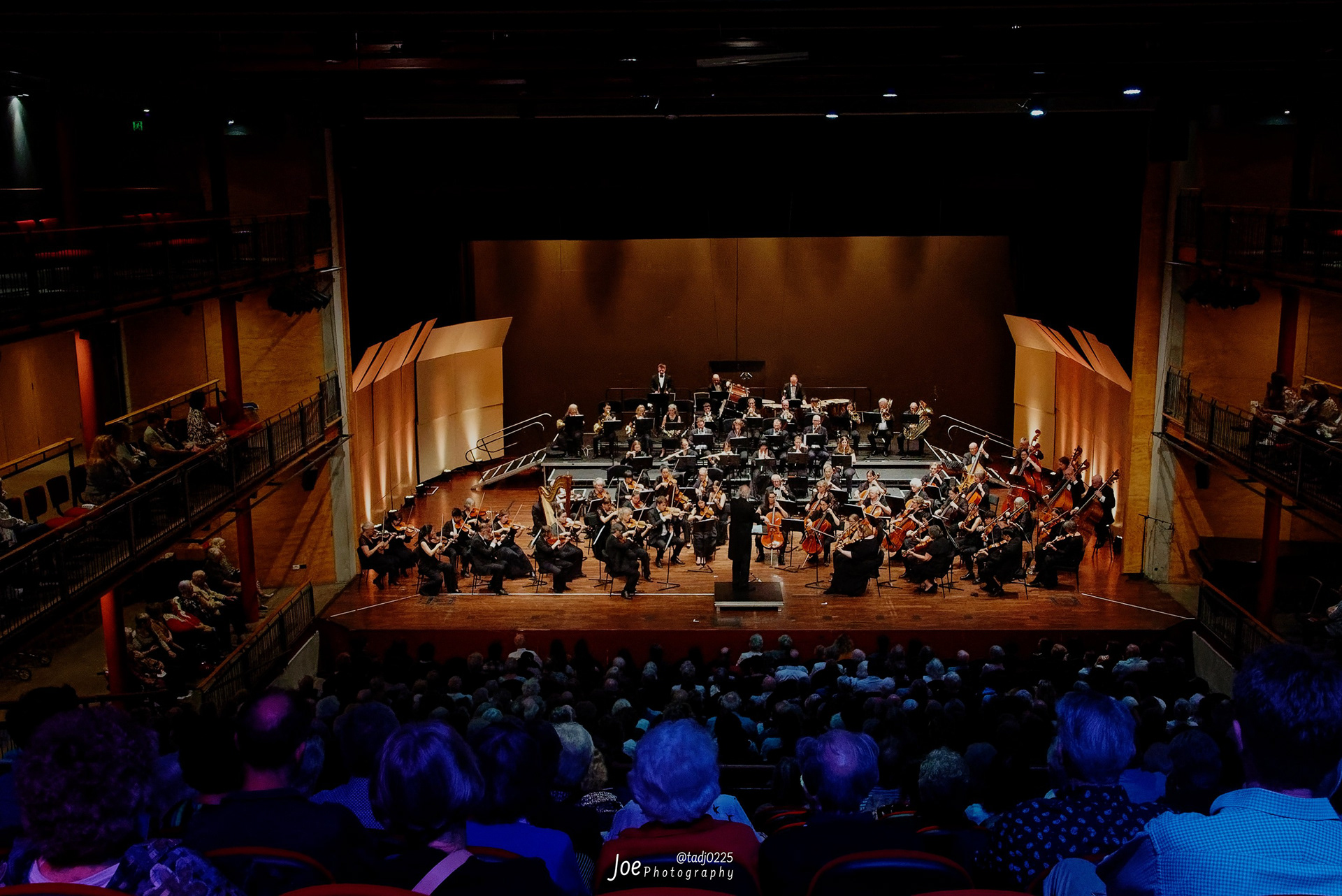 Mankau Symphony Orchestra