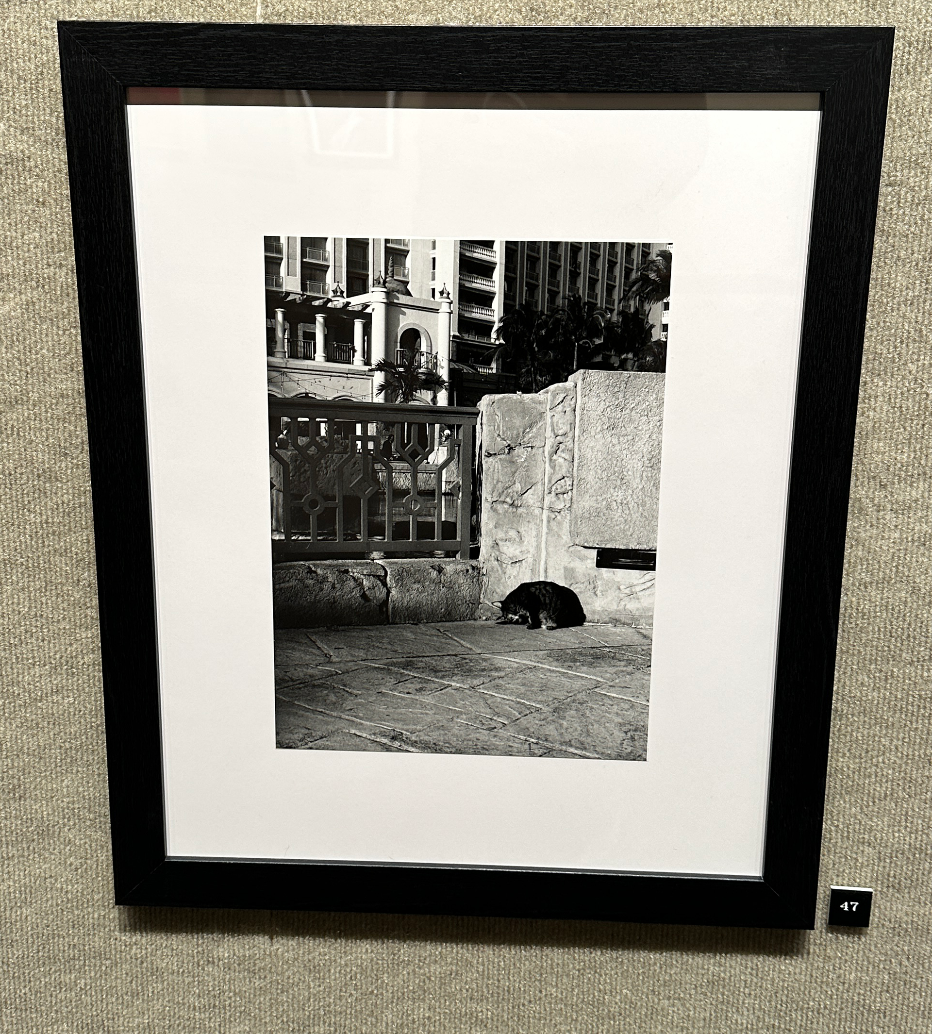 An Image of a cat cleaning it's tail in front of a stone fence and gate