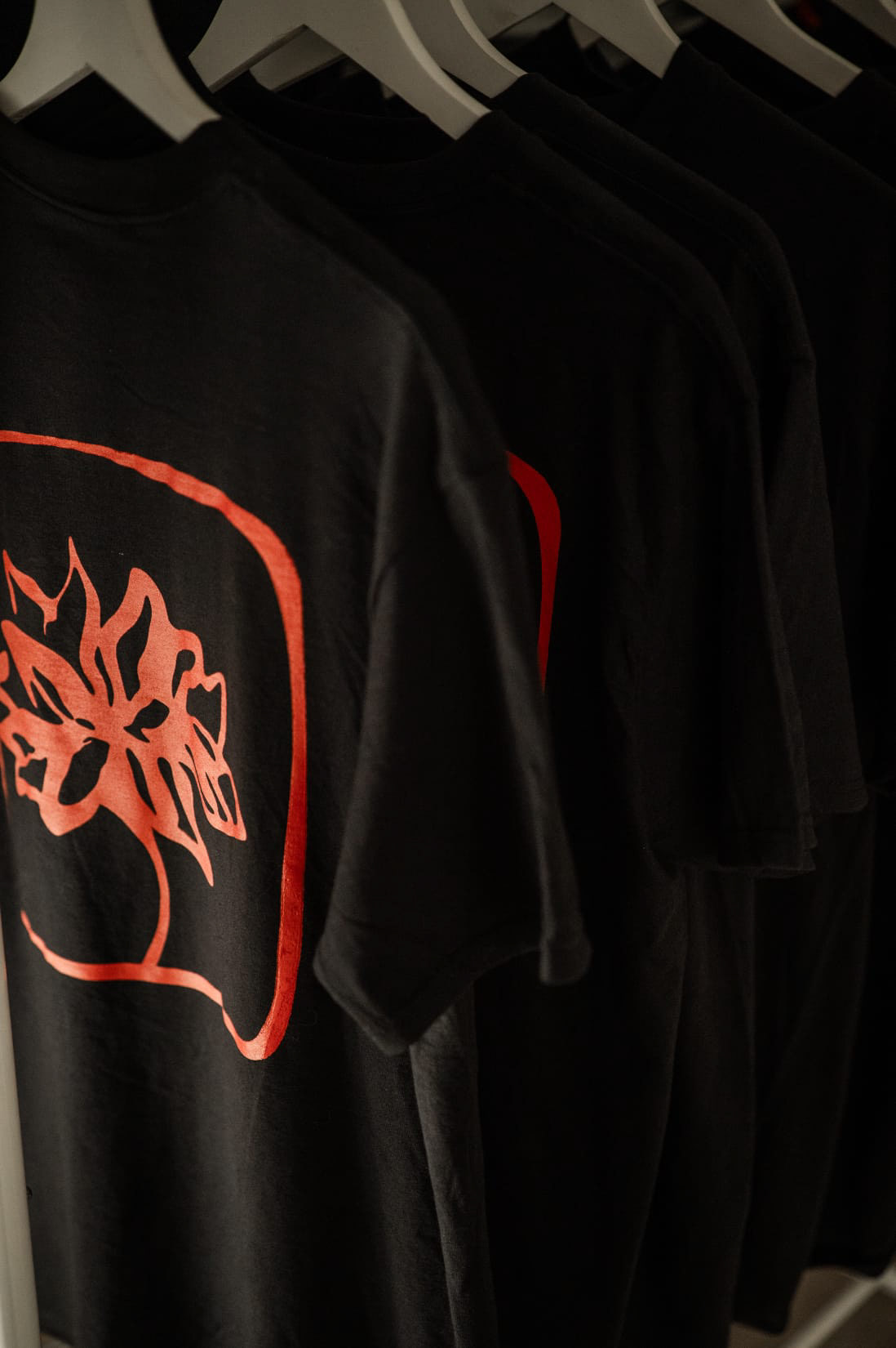 Biznaga Collective