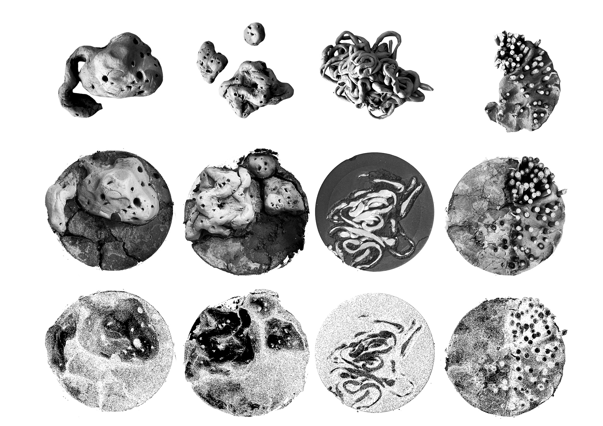Exploring morphology