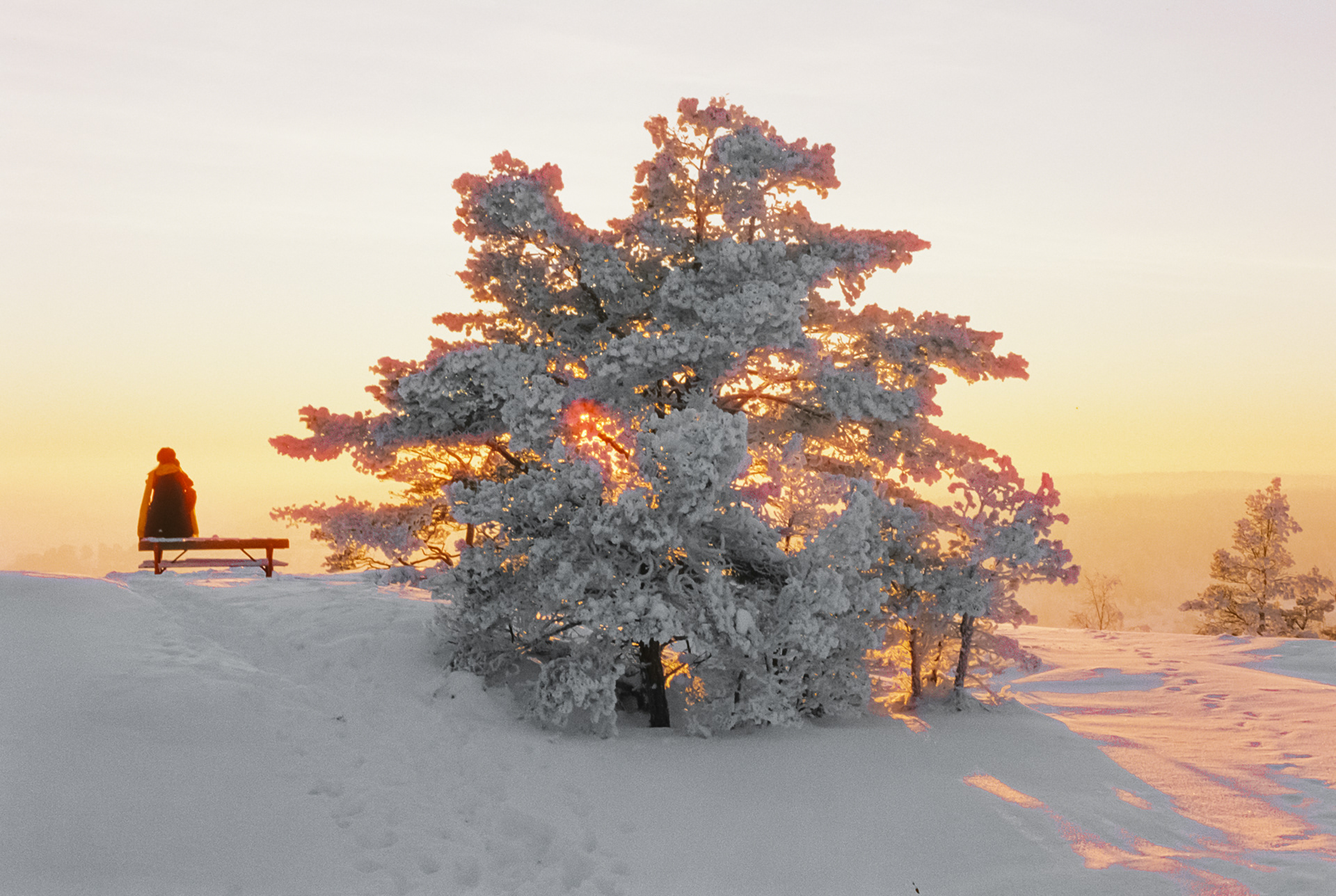 Fredrikstad 2024 • Cinestill 800t