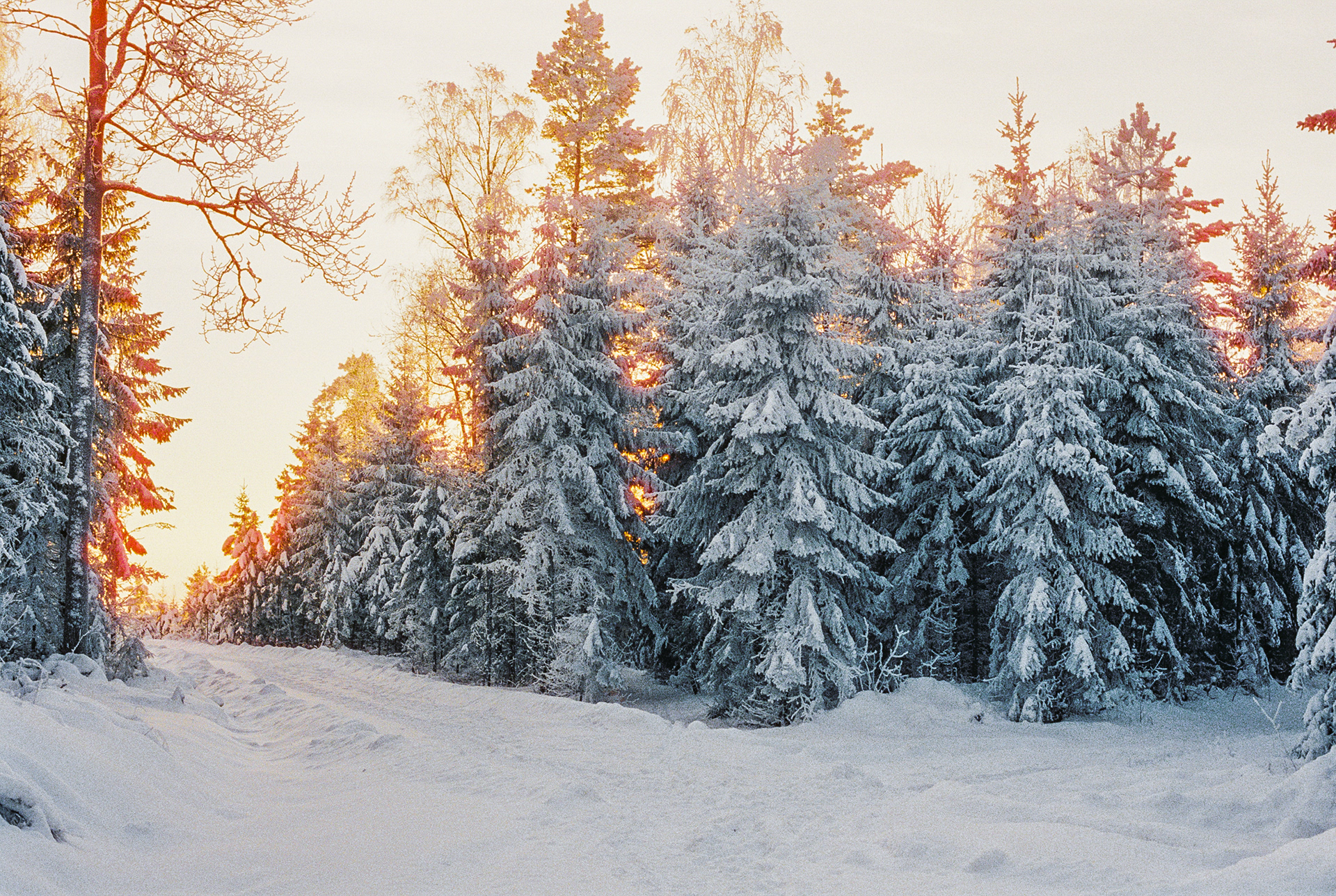 Fredrikstad 2024 • Cinestill 800t