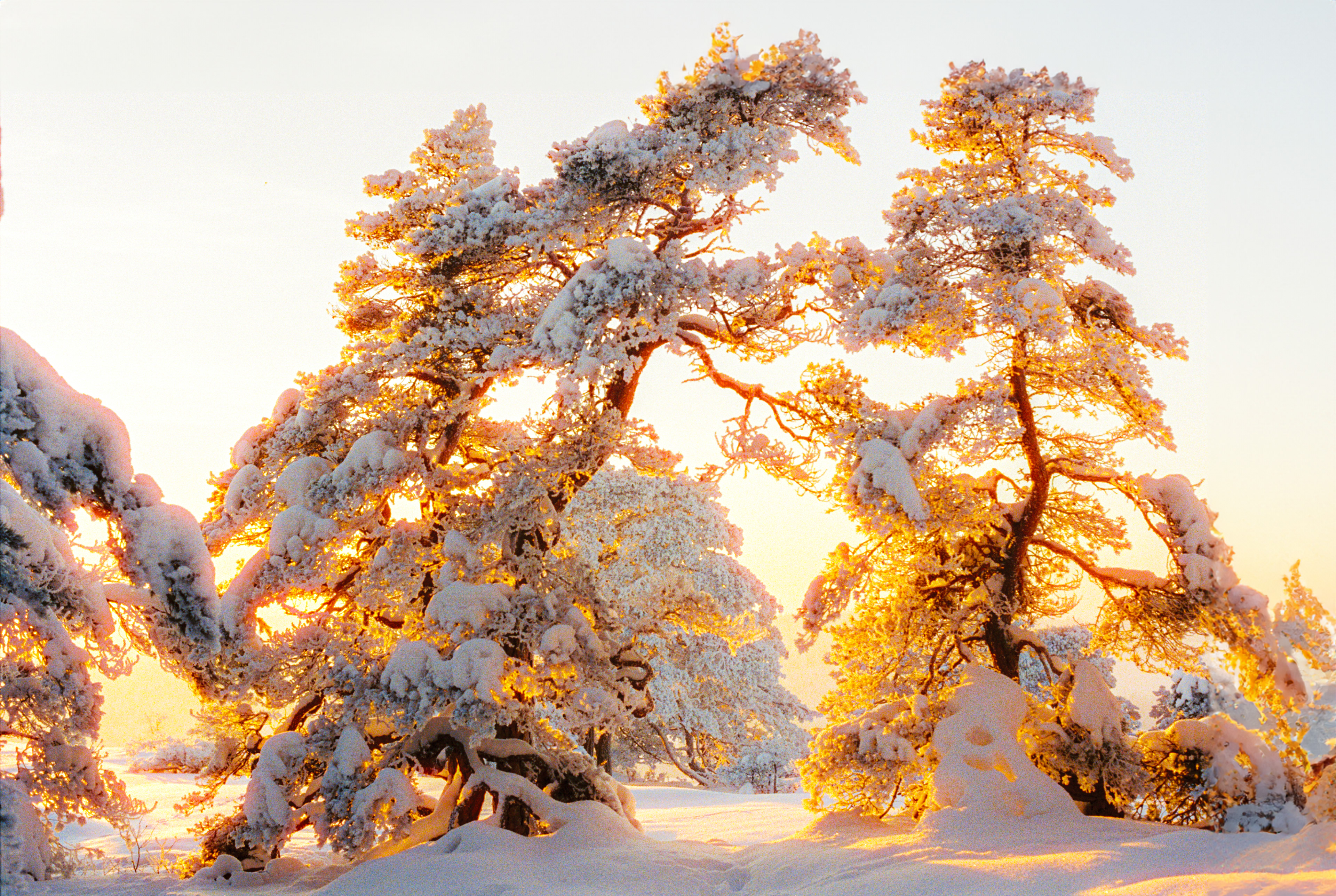 Fredrikstad 2024 • Cinestill 800t