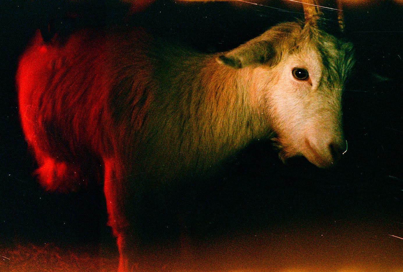 Fredrikstad 2022 • Kodak Gold 200