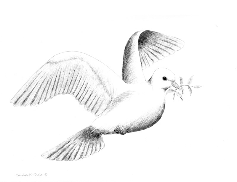 Dove
