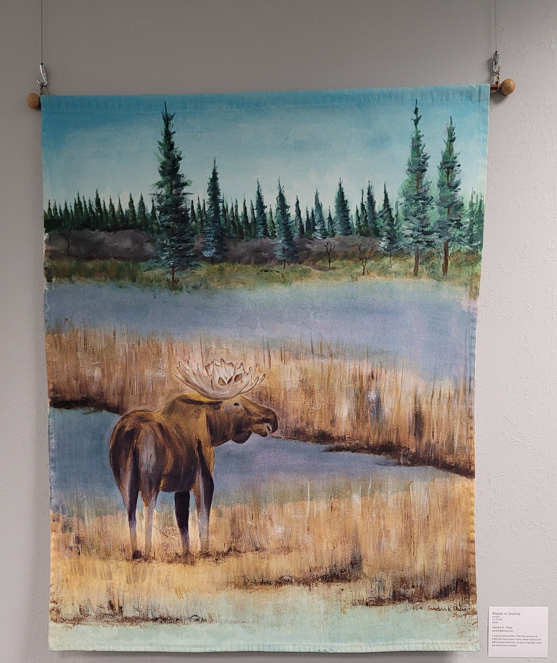 Moose in Swamp