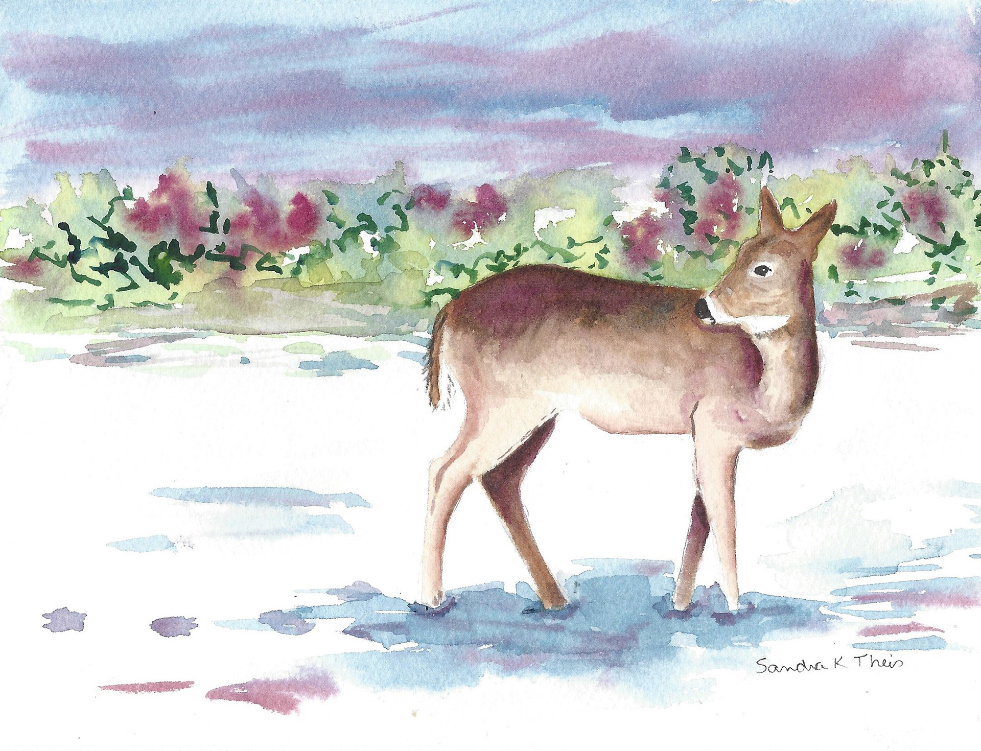 Deer in Snow
