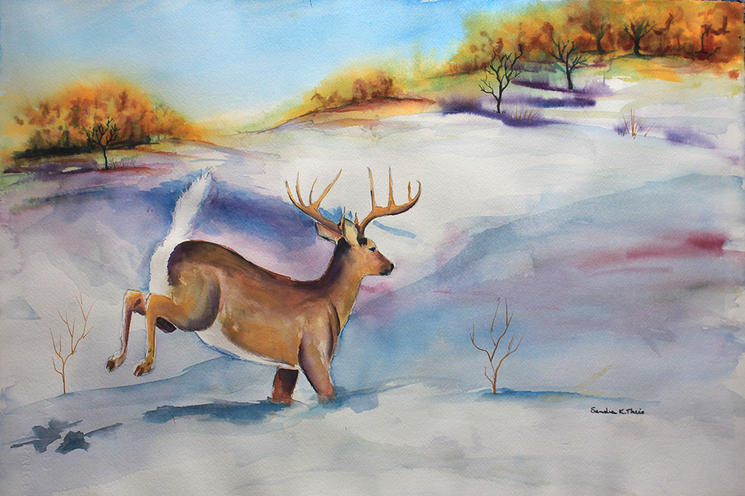 Buck in Snow