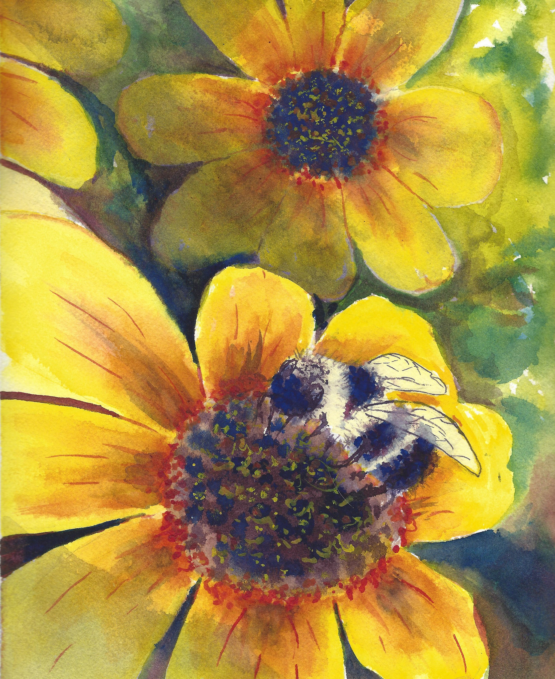 Bee on Flower