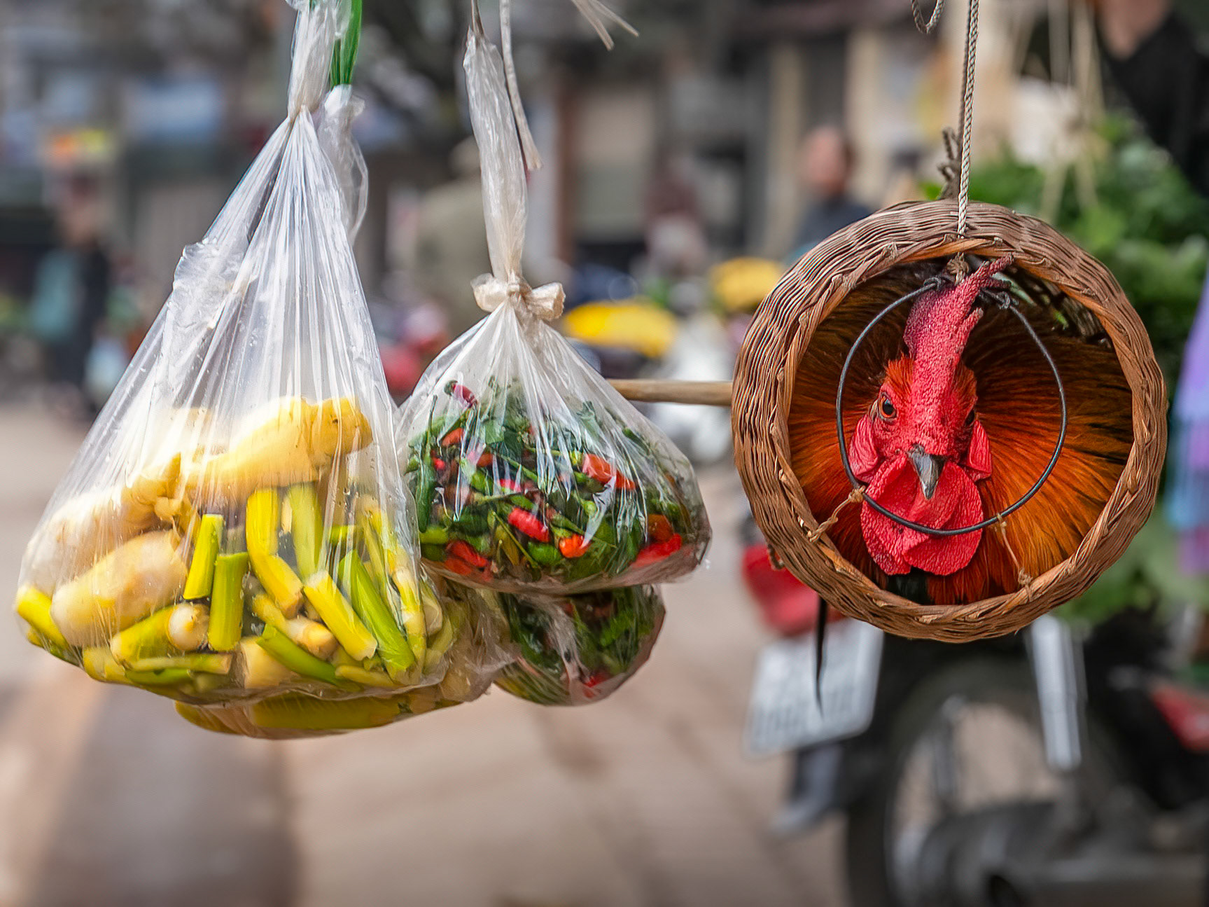 Take Away Chicken and Veg