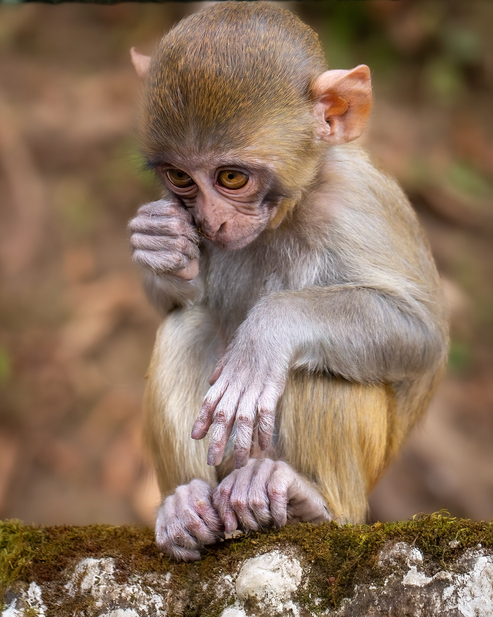 I Lost My Mum
