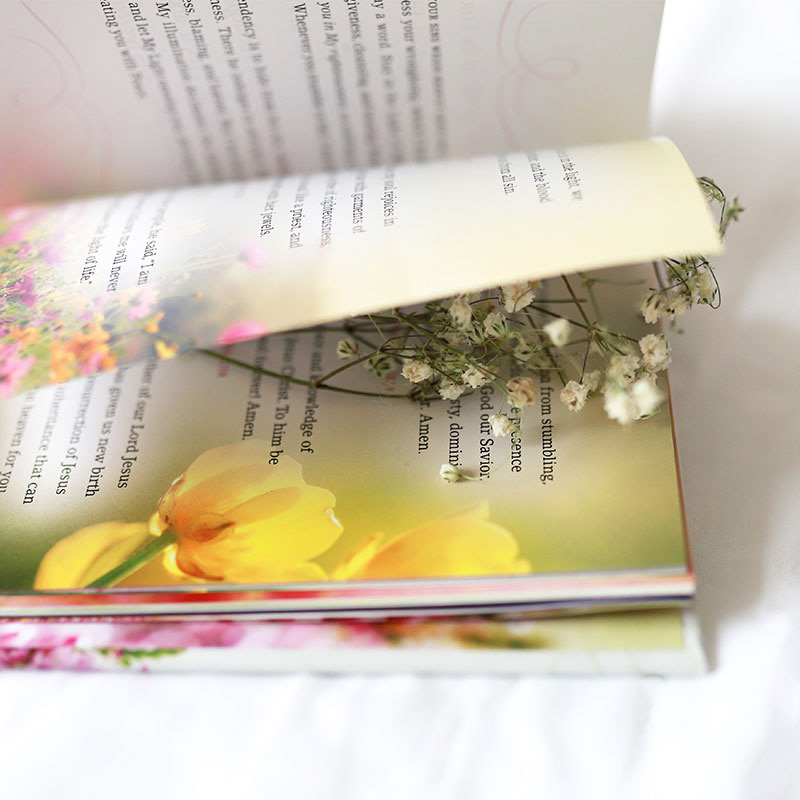 Beautiful Pages Featured
