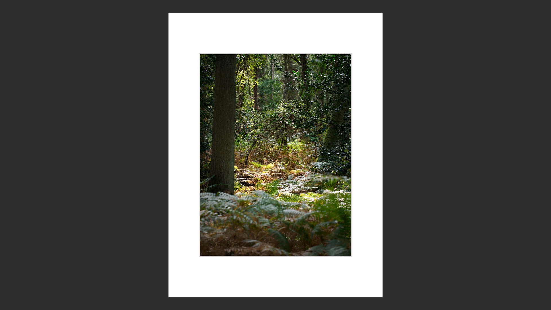 Ingoldisthorpe Common