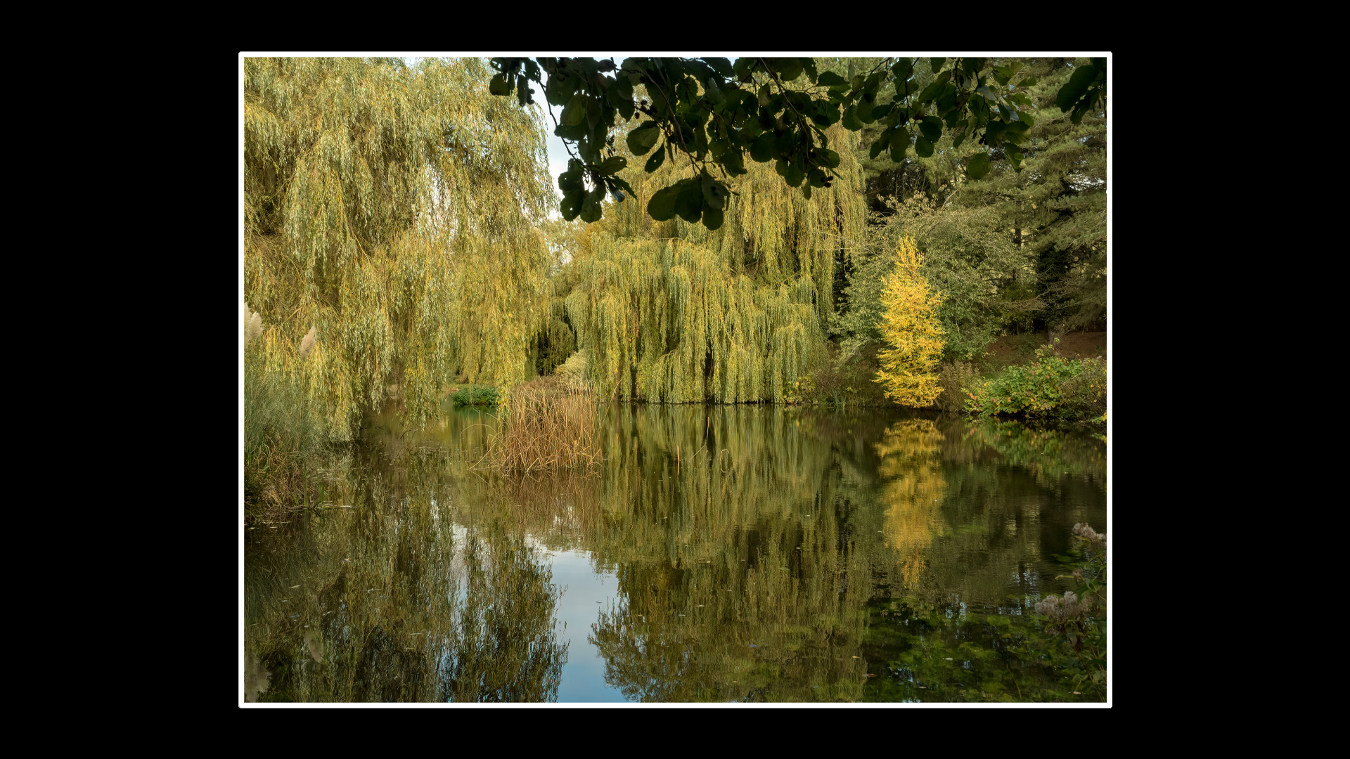 Gooderstone Water Gardens