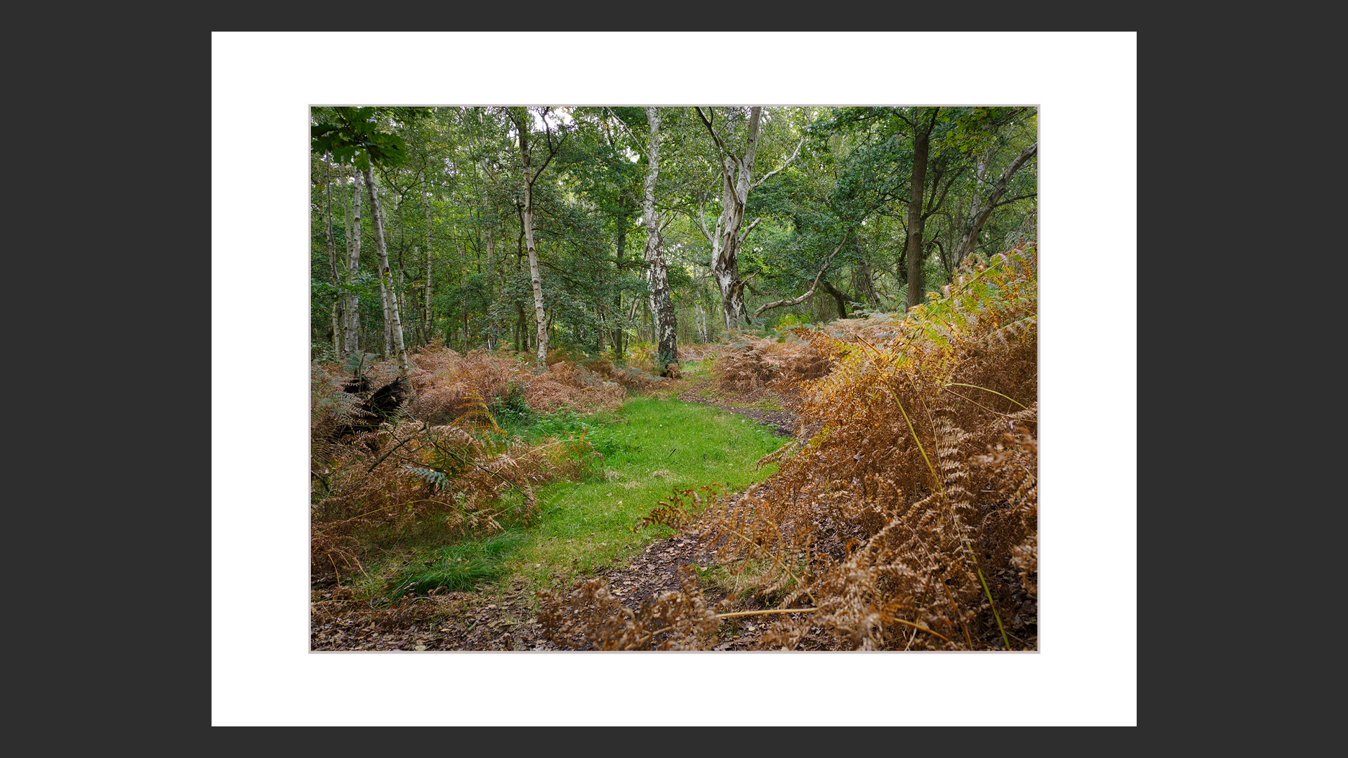 Ingoldisthorpe Common