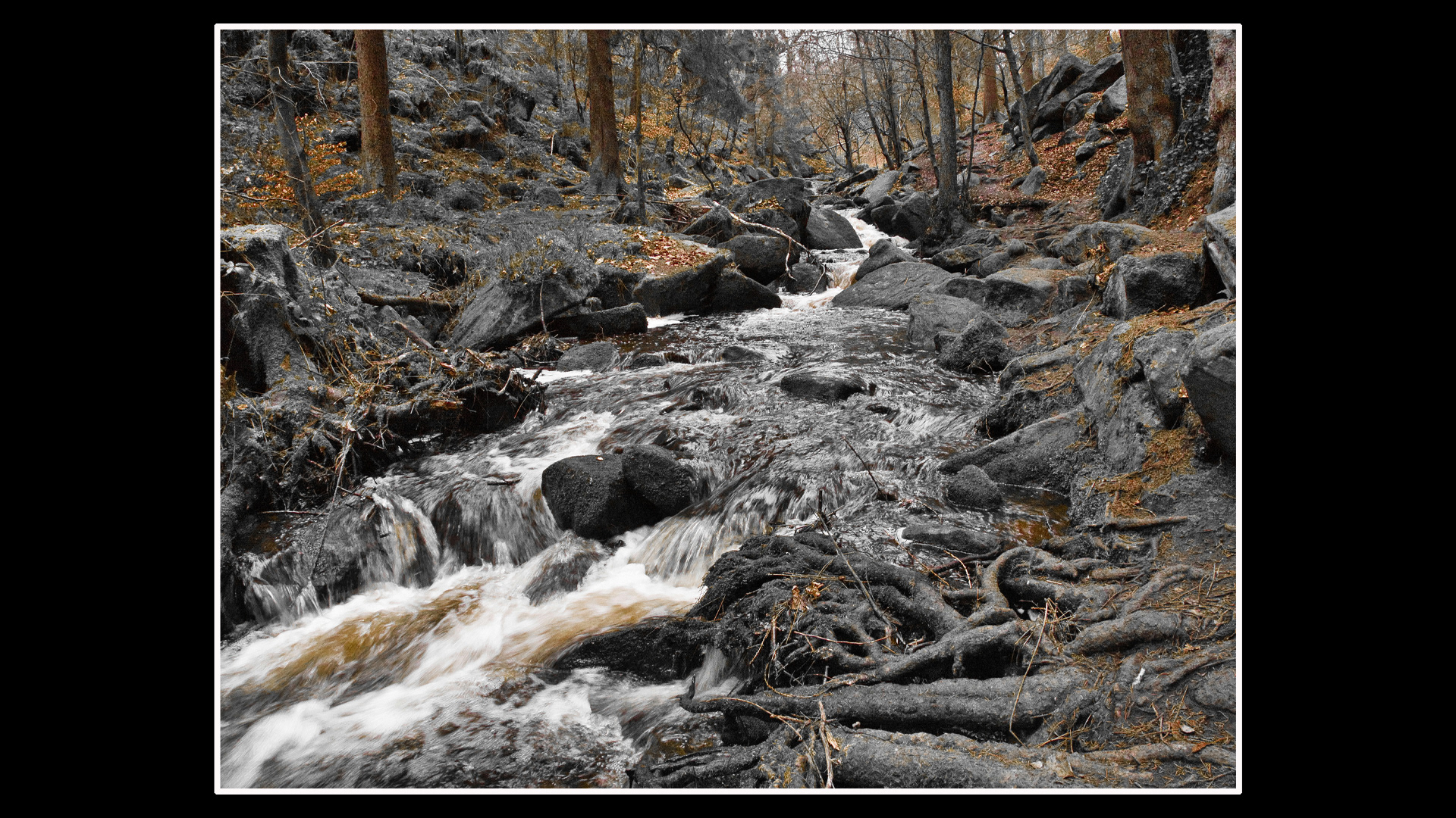 Wyming Brook