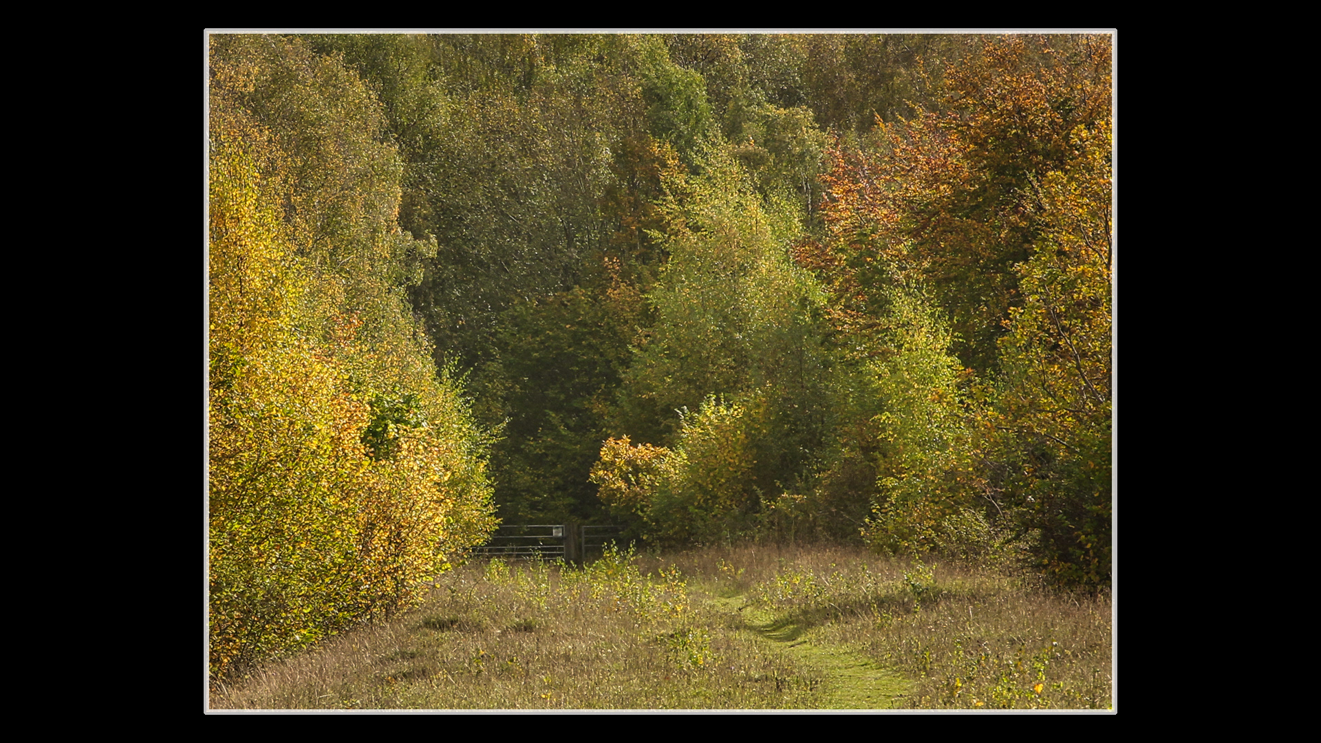 Narborough