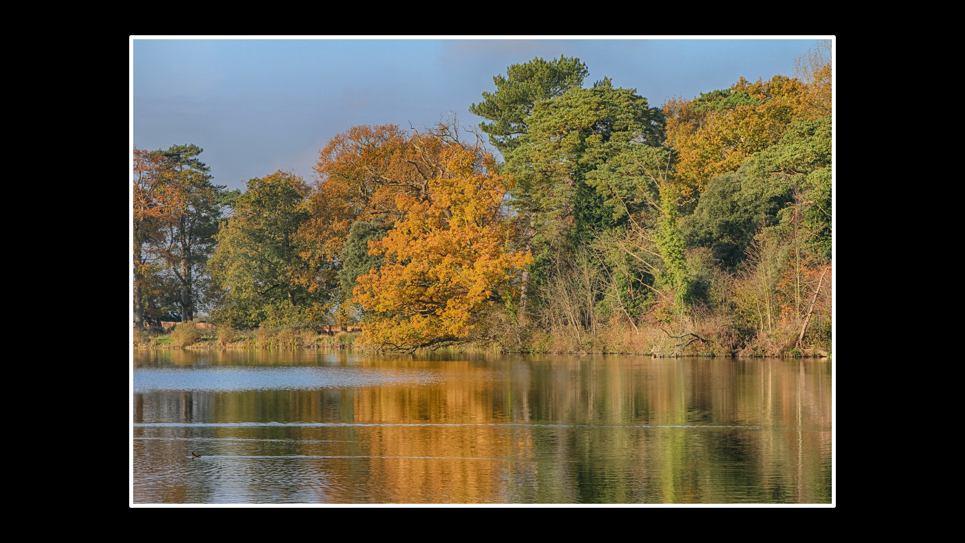 Holkham Hall Lake