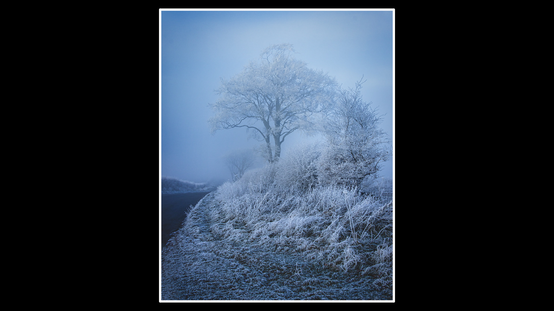 Ringstead Hawfrost