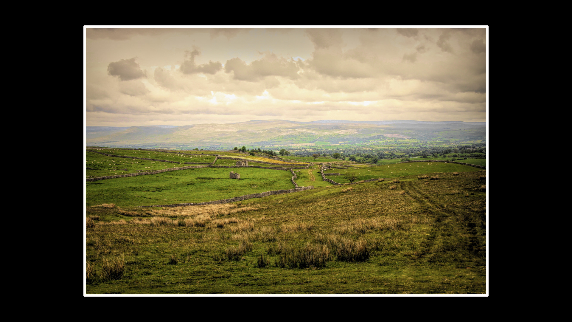 Yorkshire Dales