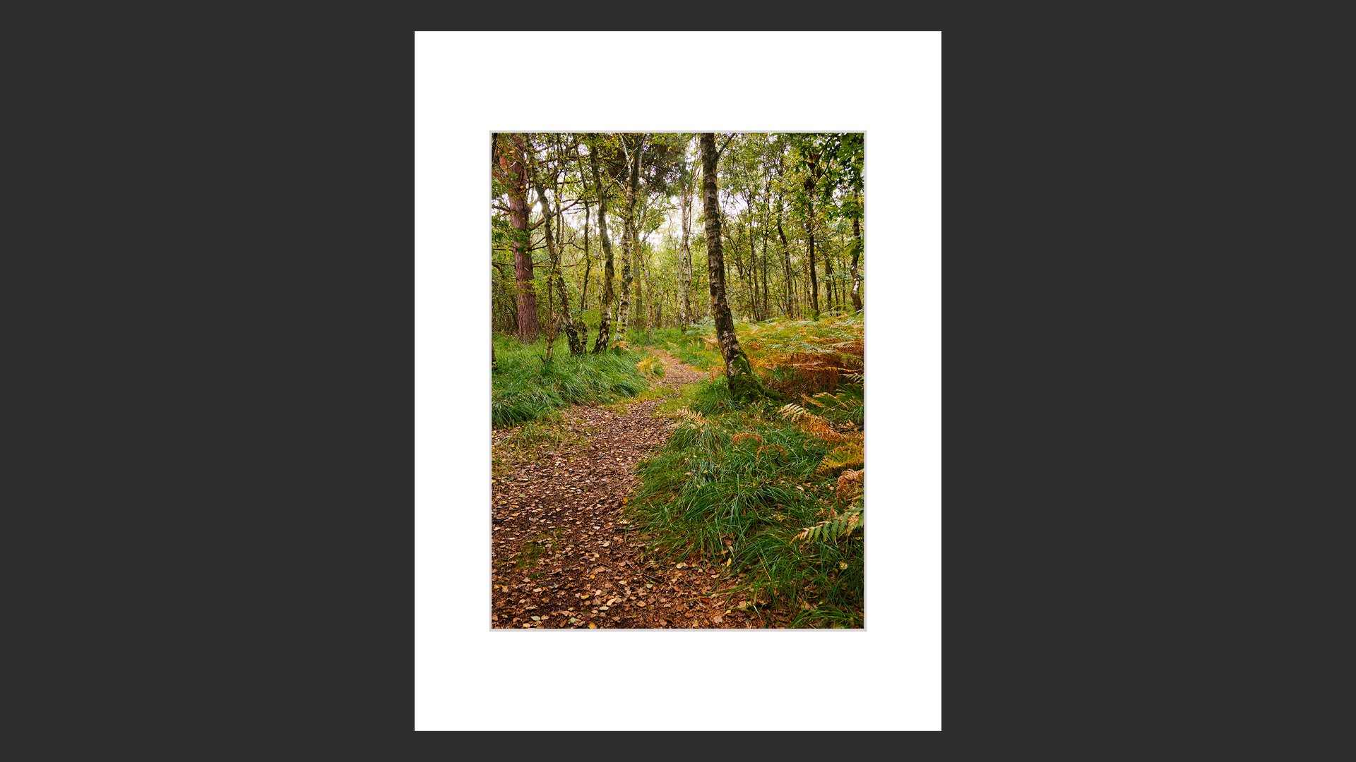 Ingoldisthorpe Common