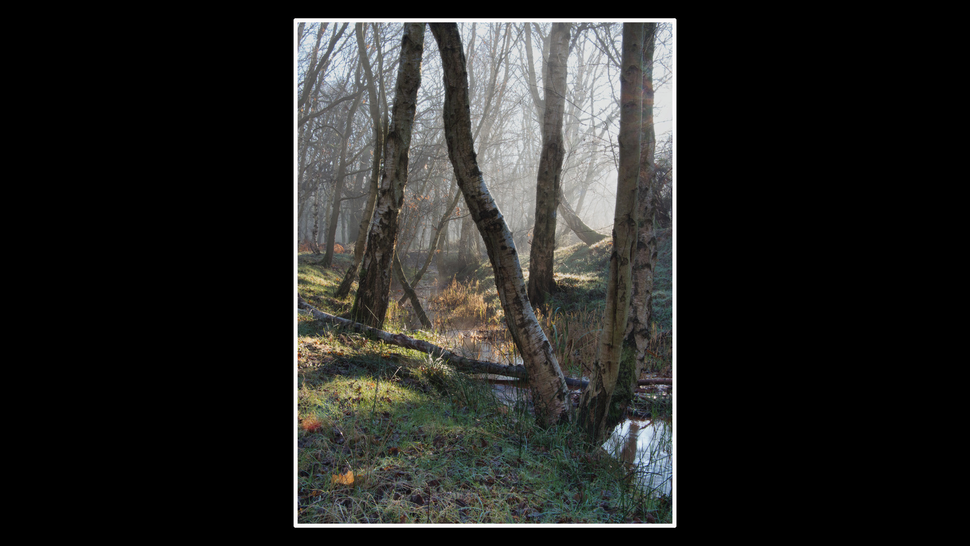 Ingoldisthorpe Common