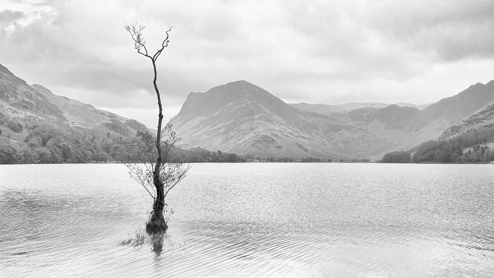 Cockermouth Buttermere - High Key