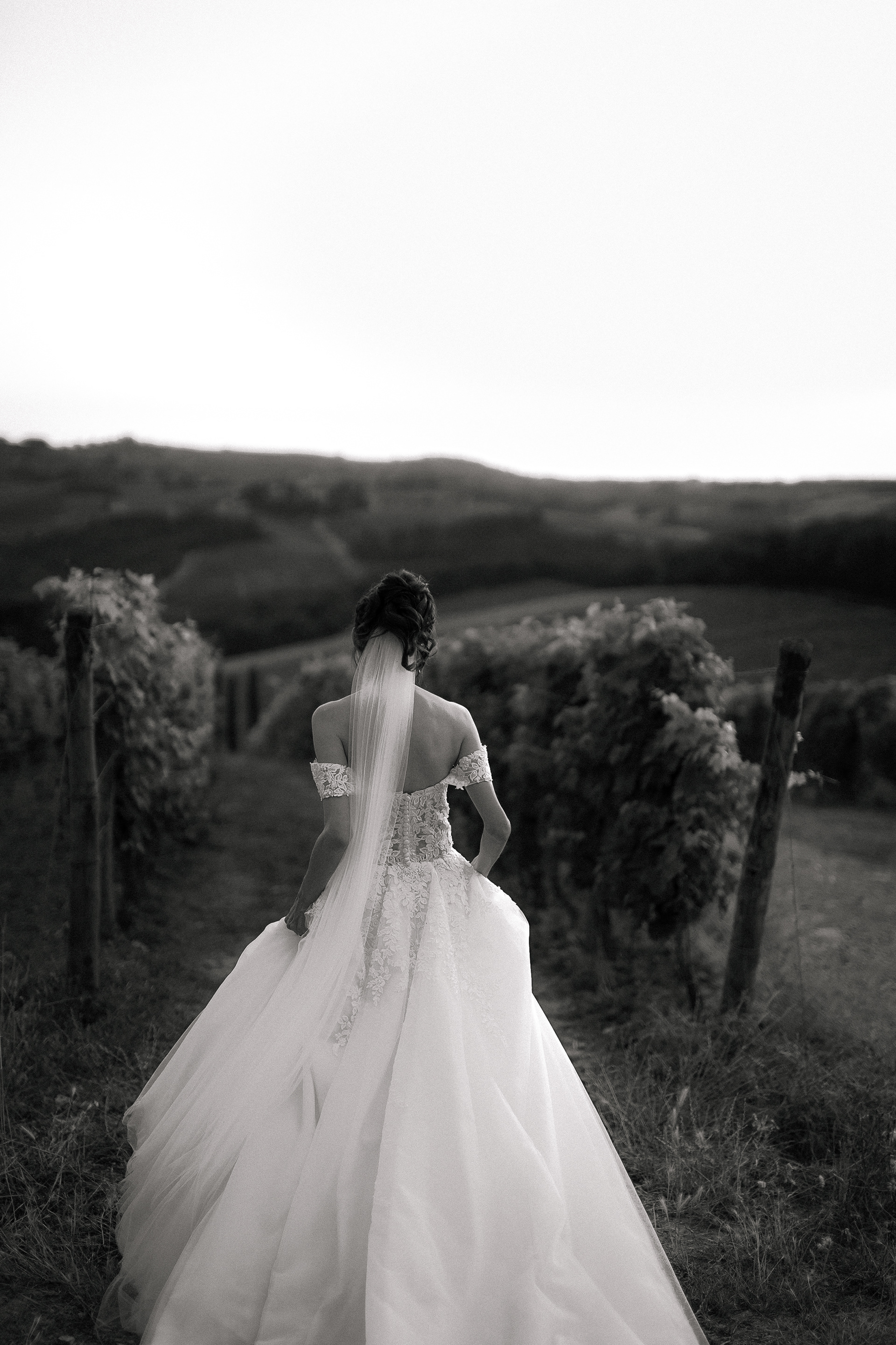Fotografia di Arianna Macherelli, specializzata in Fotografia di Matrimonio, ritratto di reportage in bianco e nero della sposa che cammina di spalle immersa in una vigna toscana