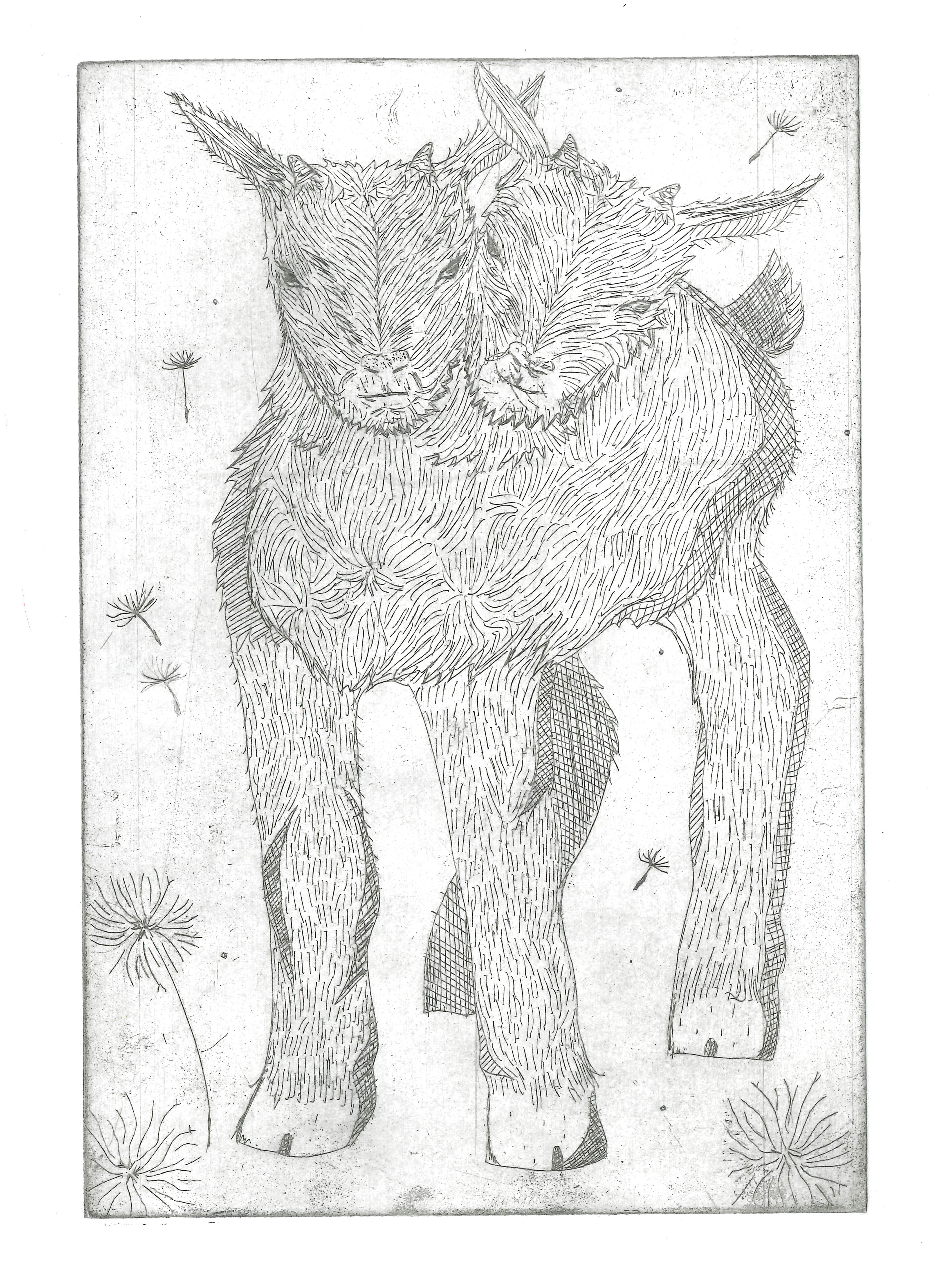 Baaa..., 2024, copper plate etch