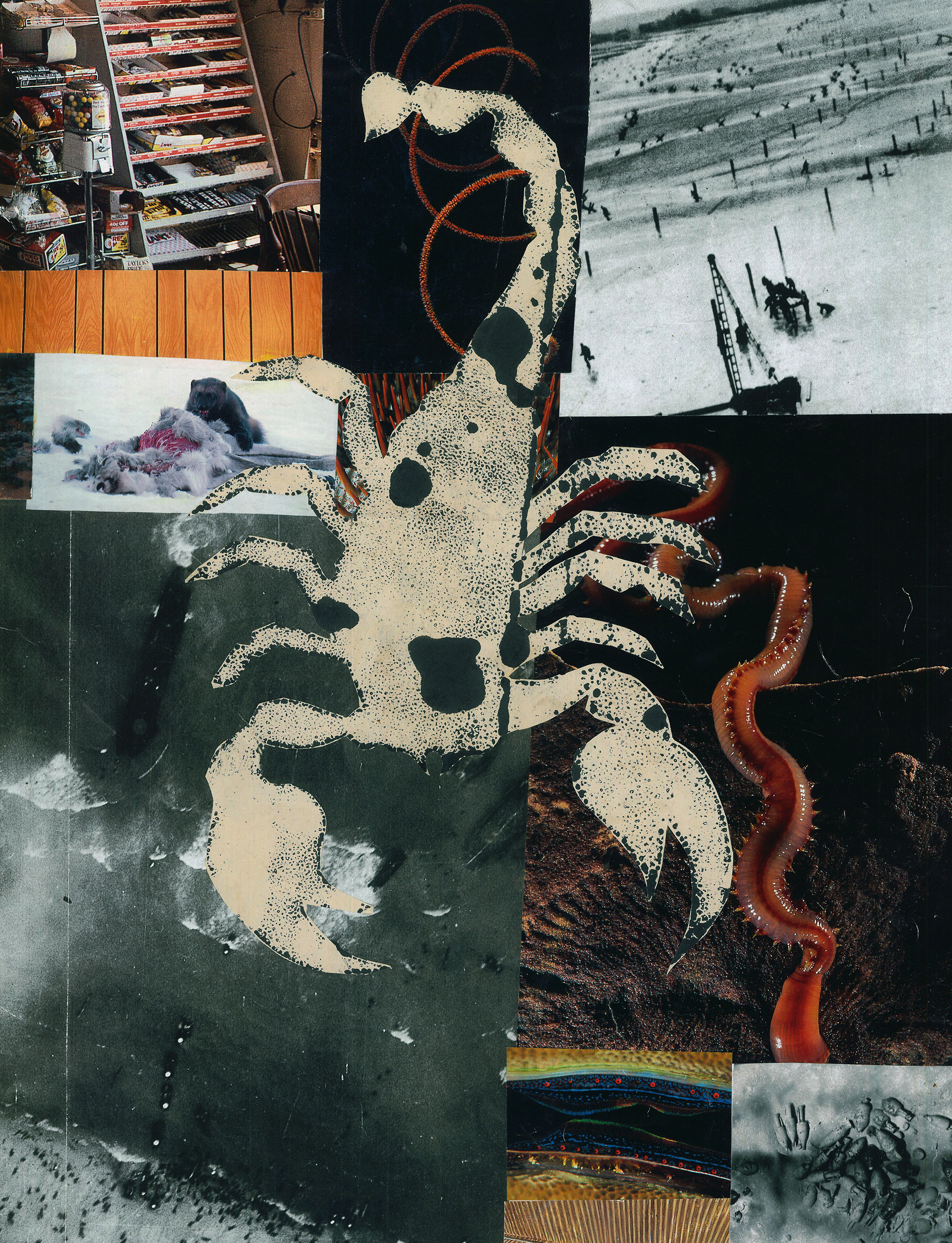 Scorp, 2022, collage/screenprint