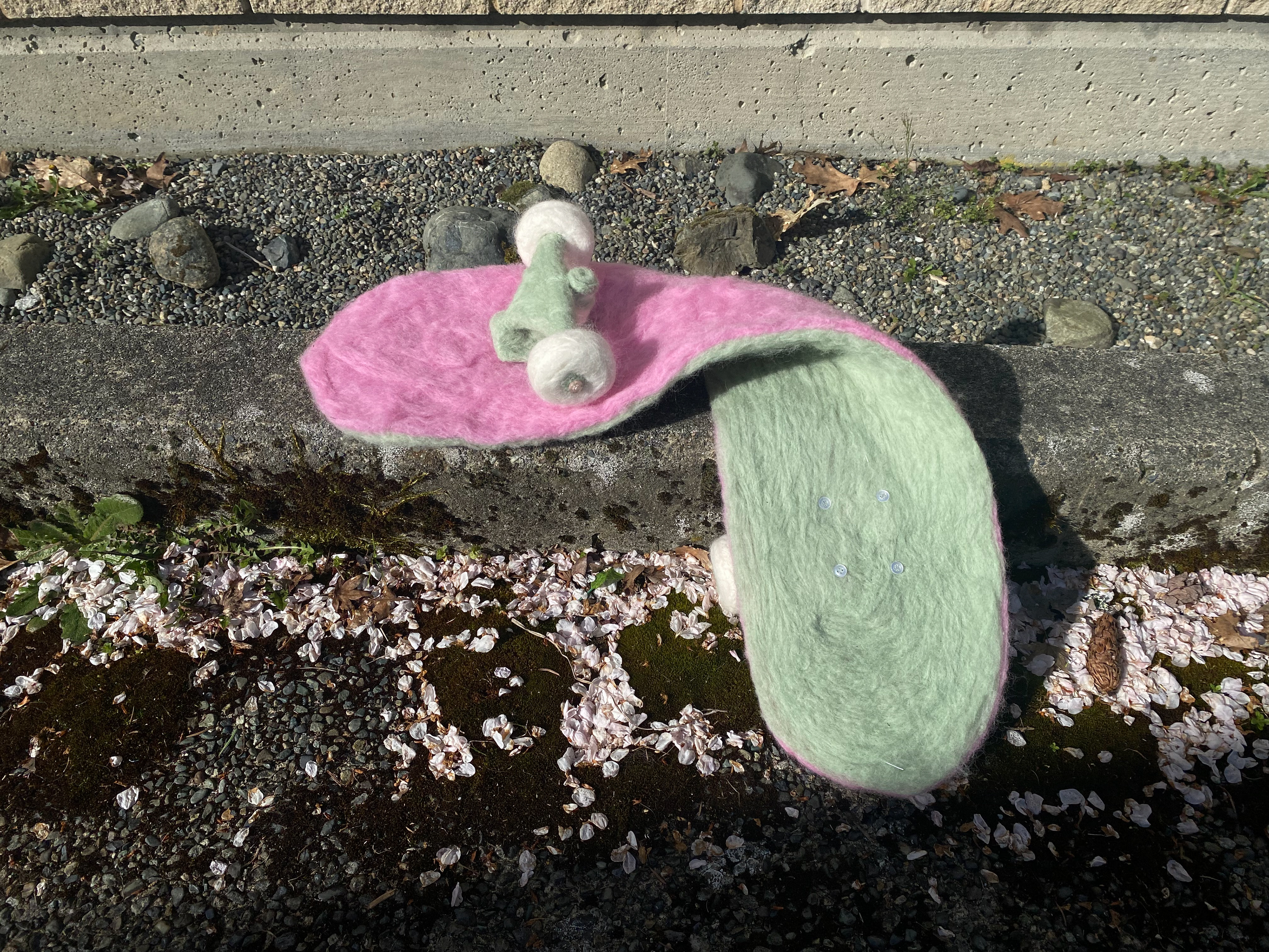 Spring Soon, 2026
