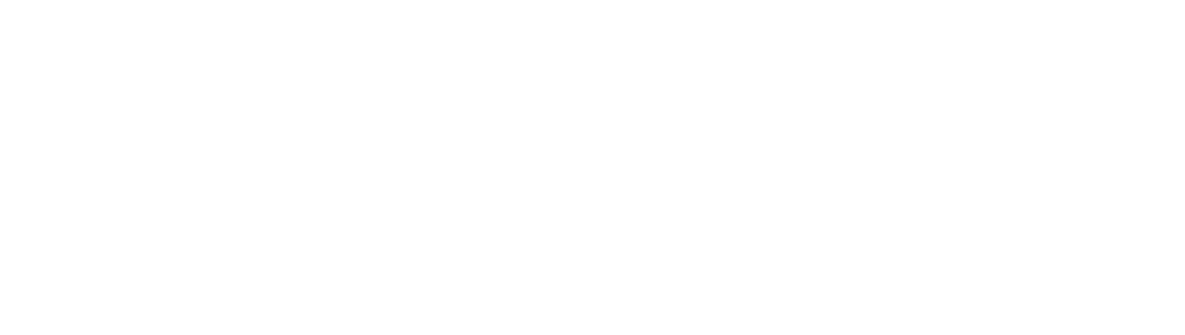 XIII