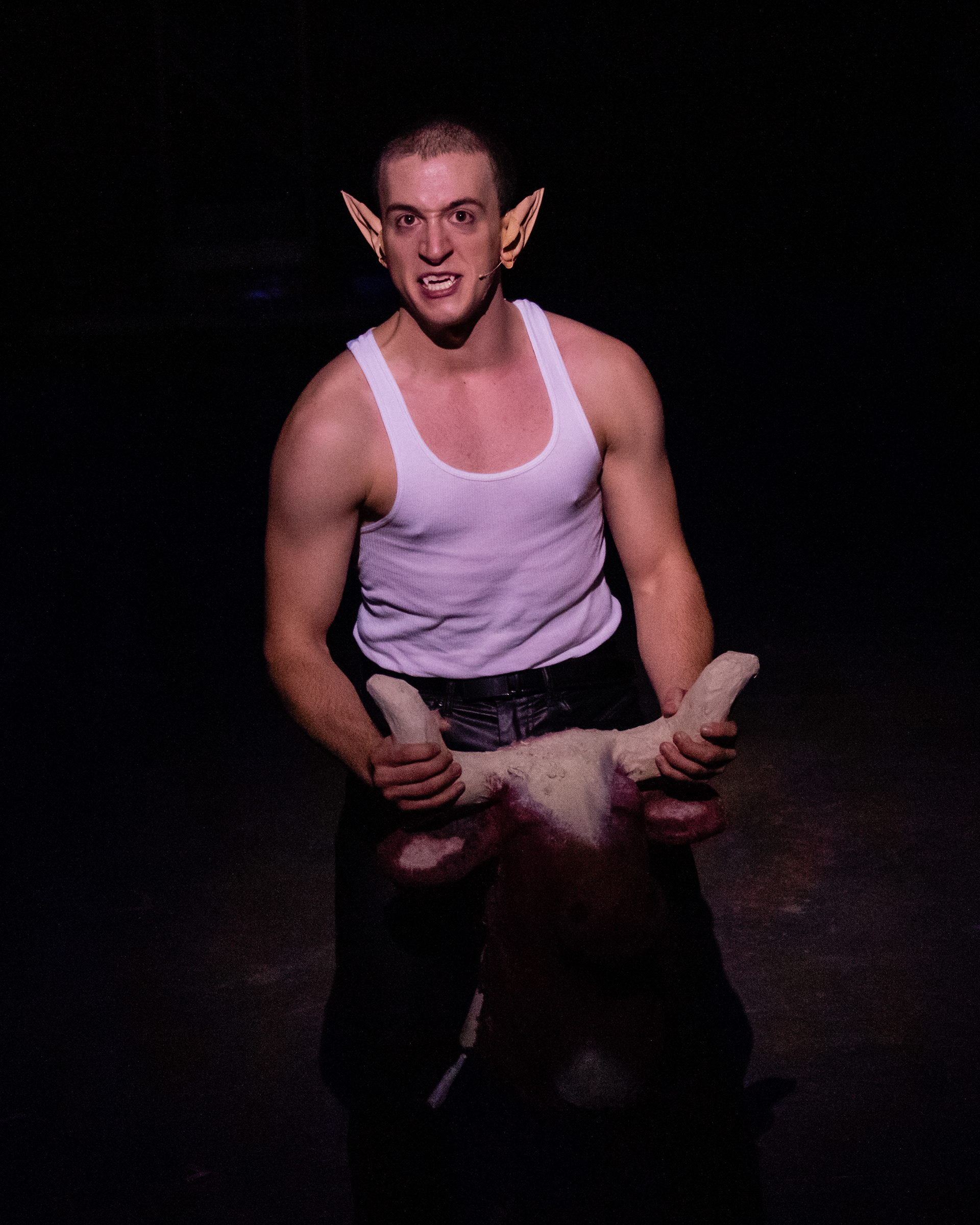 Batboy: The Musical