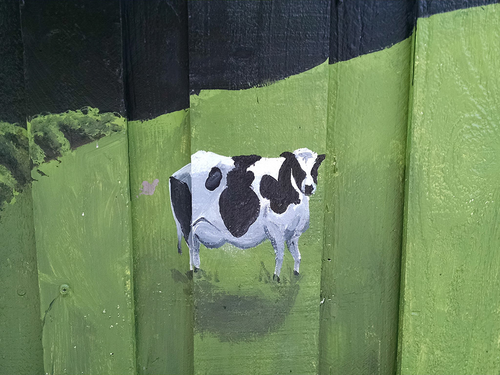 Private Gate Sunrise Mural Cow Extra Closeup Photo