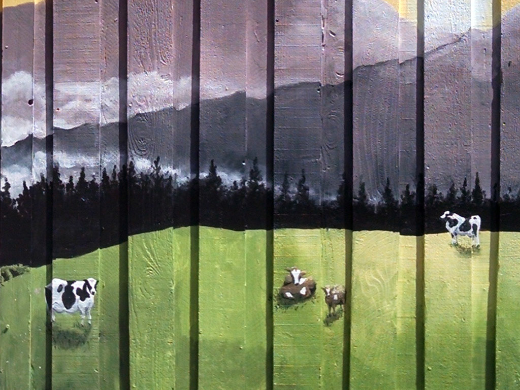 Private Gate Sunrise Mural Cows Closeup Photo