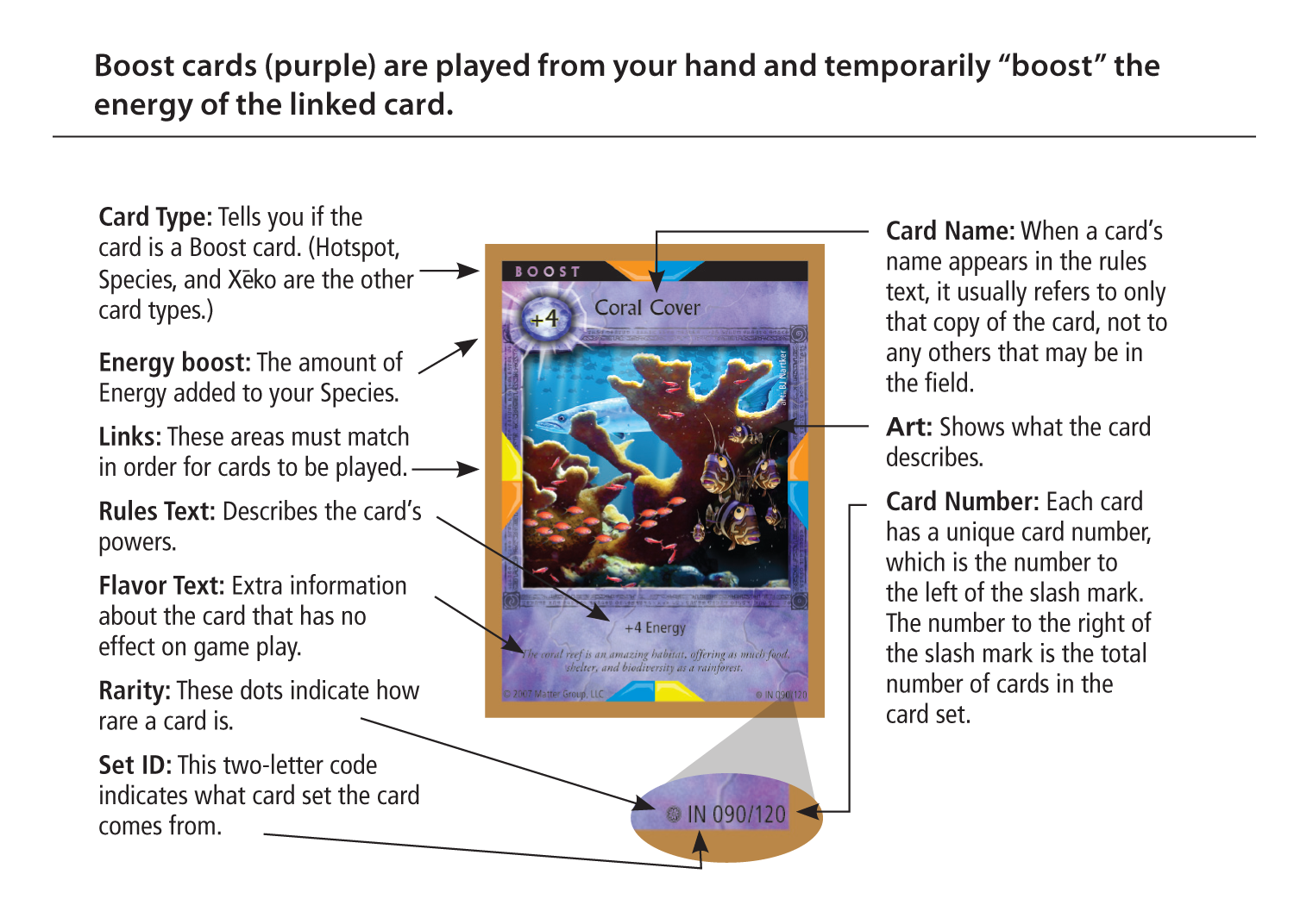 XEKO CARD UI 2