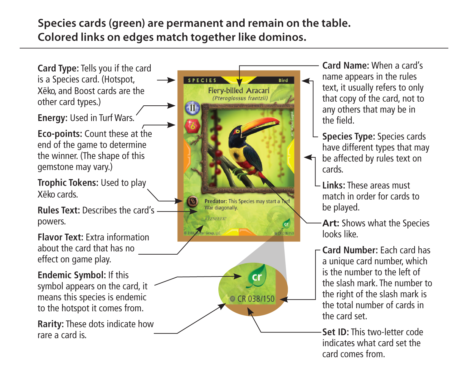 XEKO CARD UI 1
