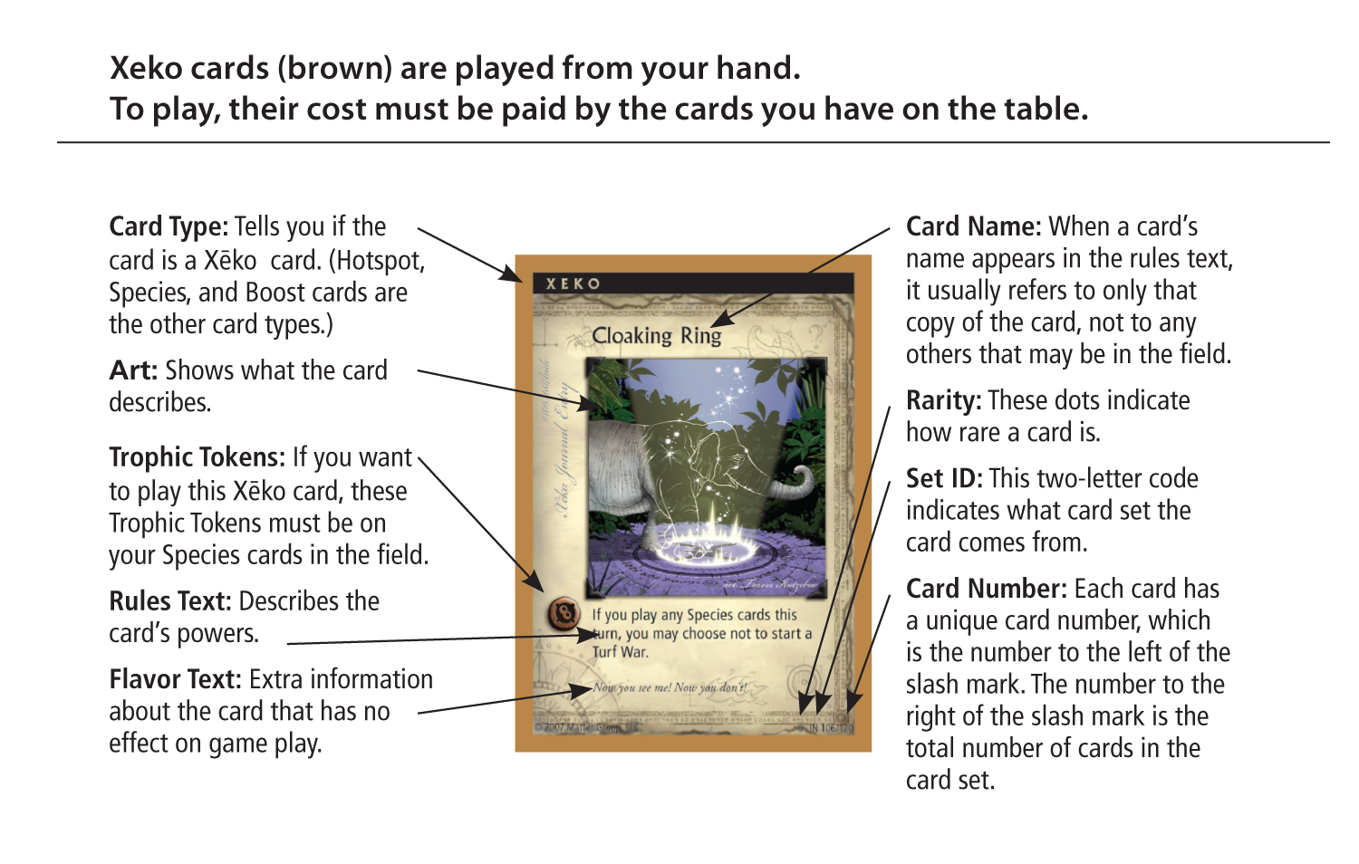 XEKO CARD UI 3