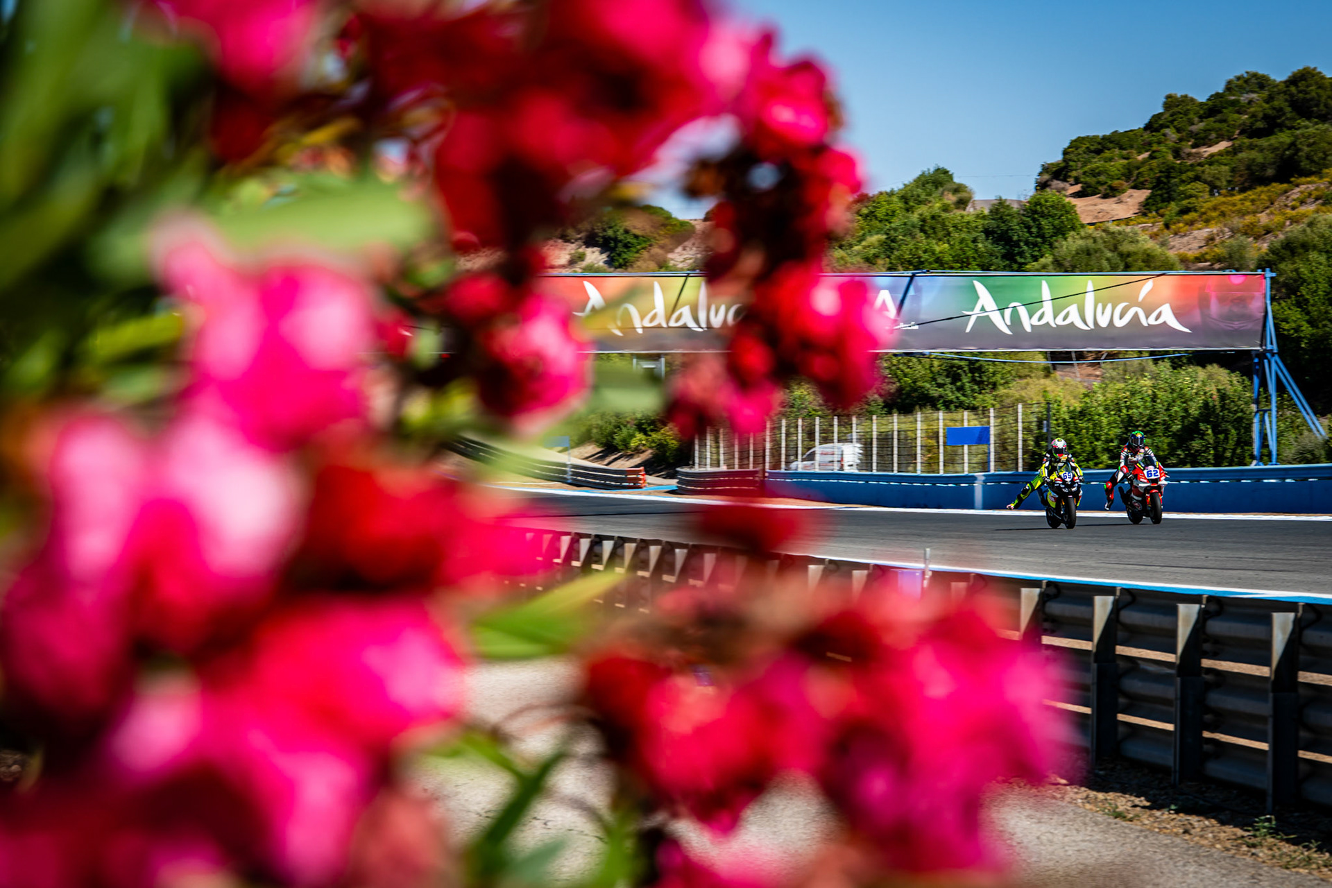 WORLD SSP - JEREZ 2025