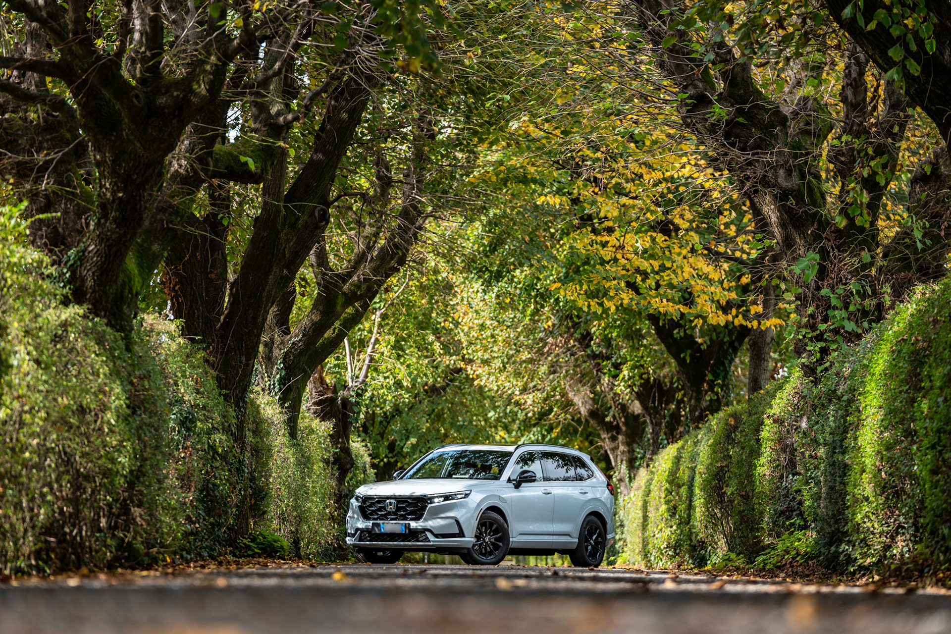 QUATTRORUOTE N.820 - DICEMBRE 2023