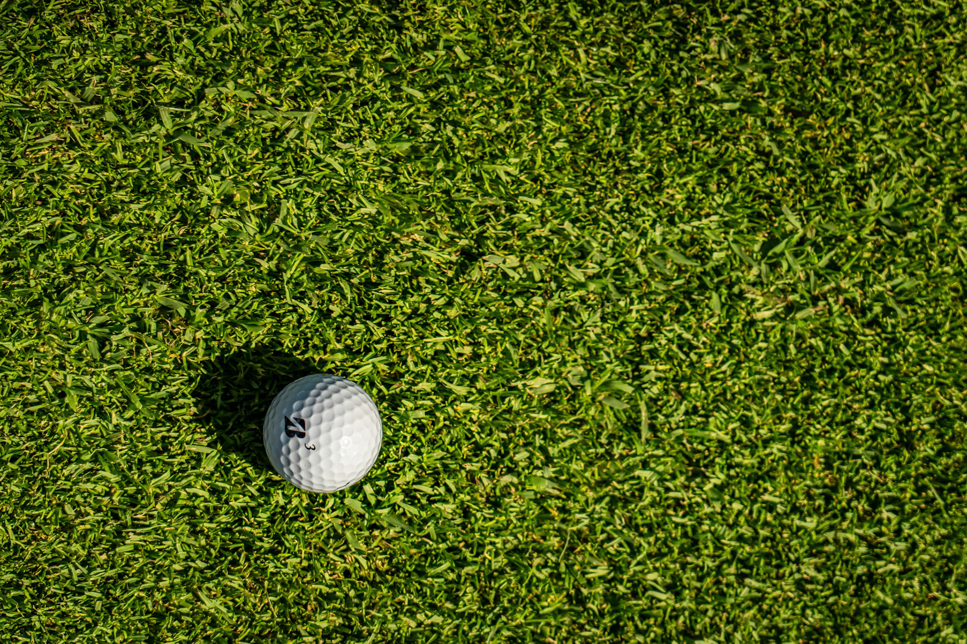 10GOLF - L'ALBENZA GOLF CLUB 2024