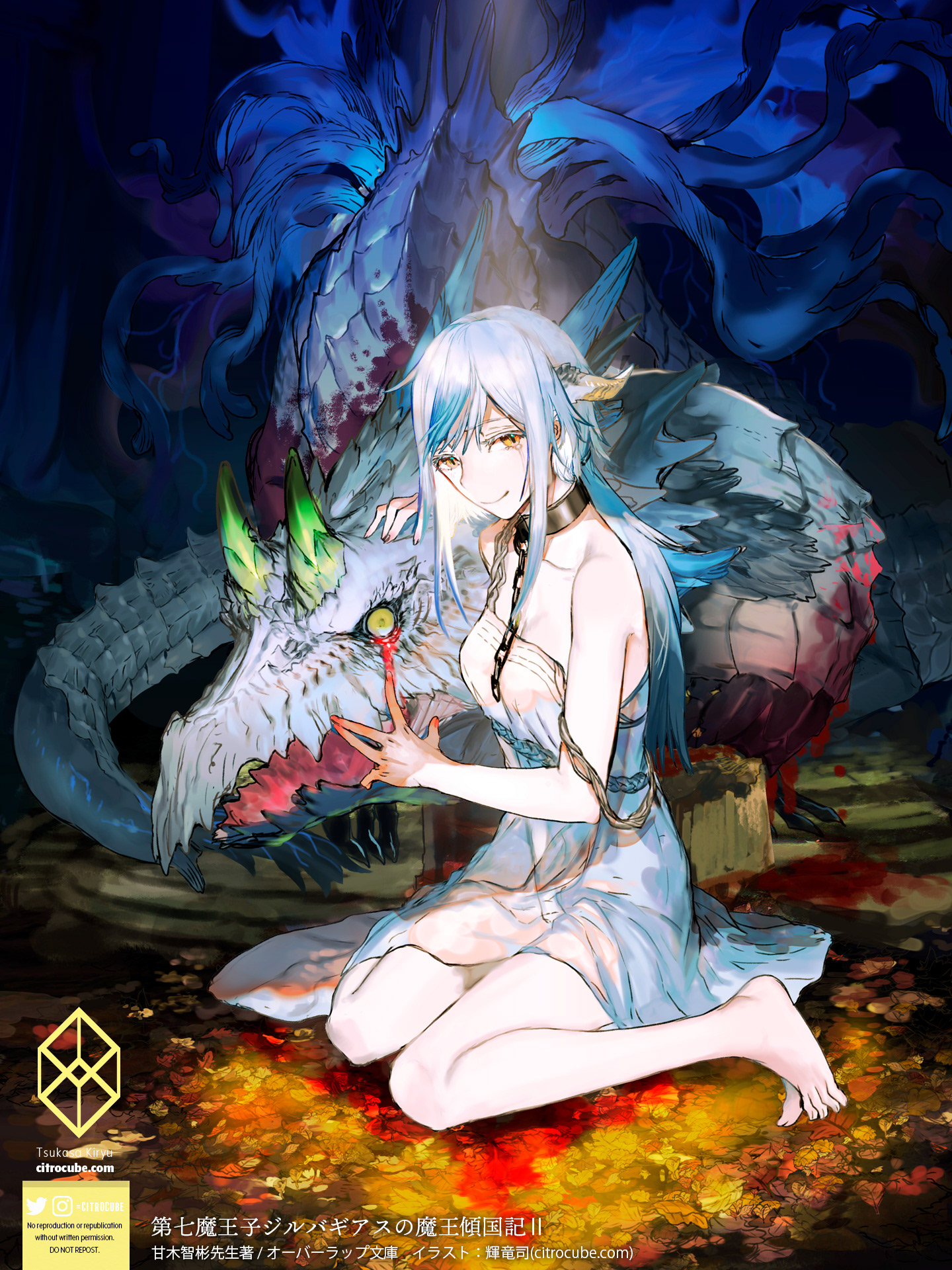 第七魔王子ジルバギアスの魔王傾国記２表紙