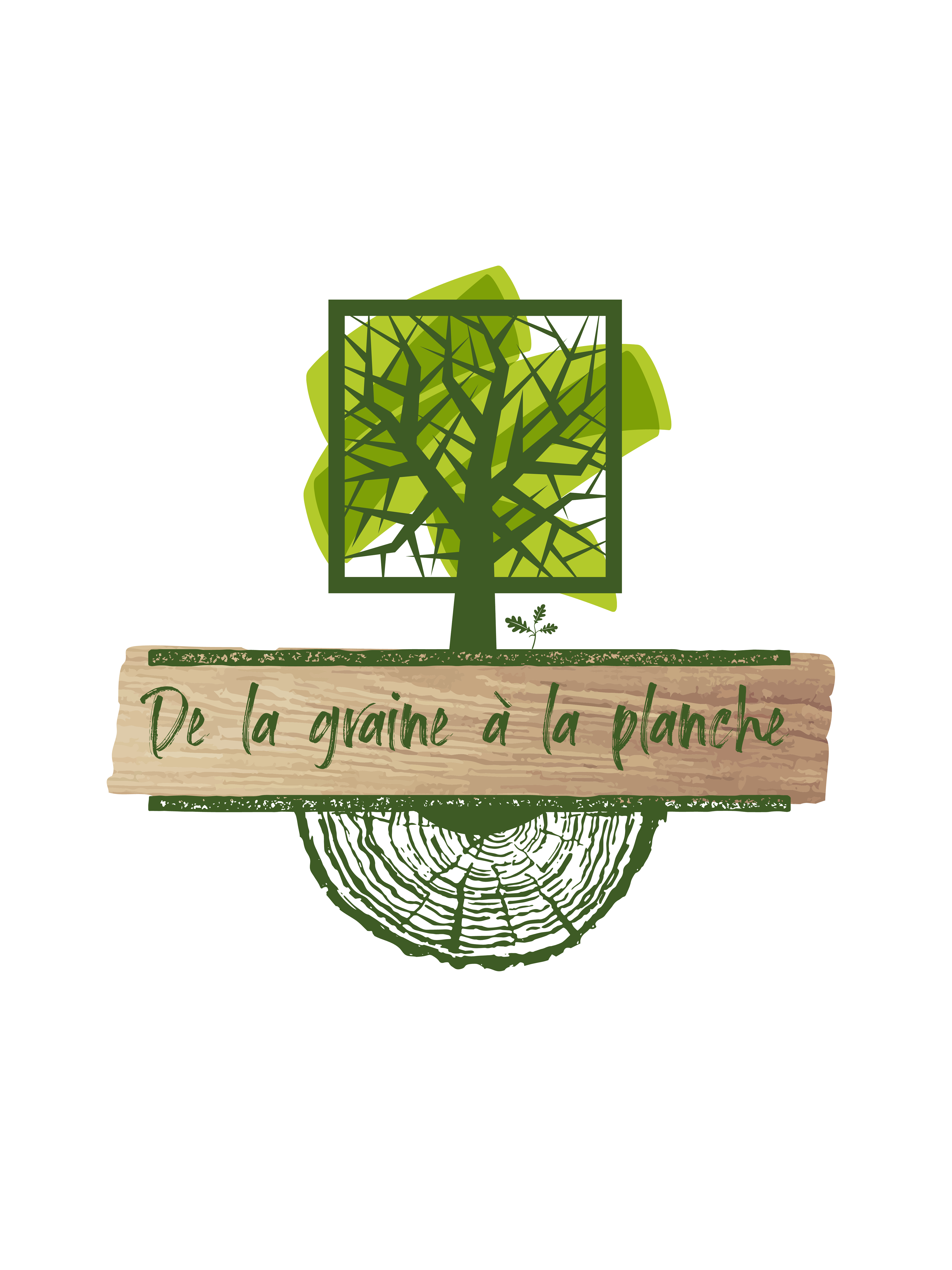 CRÉATION DE LOGO DE LA GRAINE À LA PLANCHE
